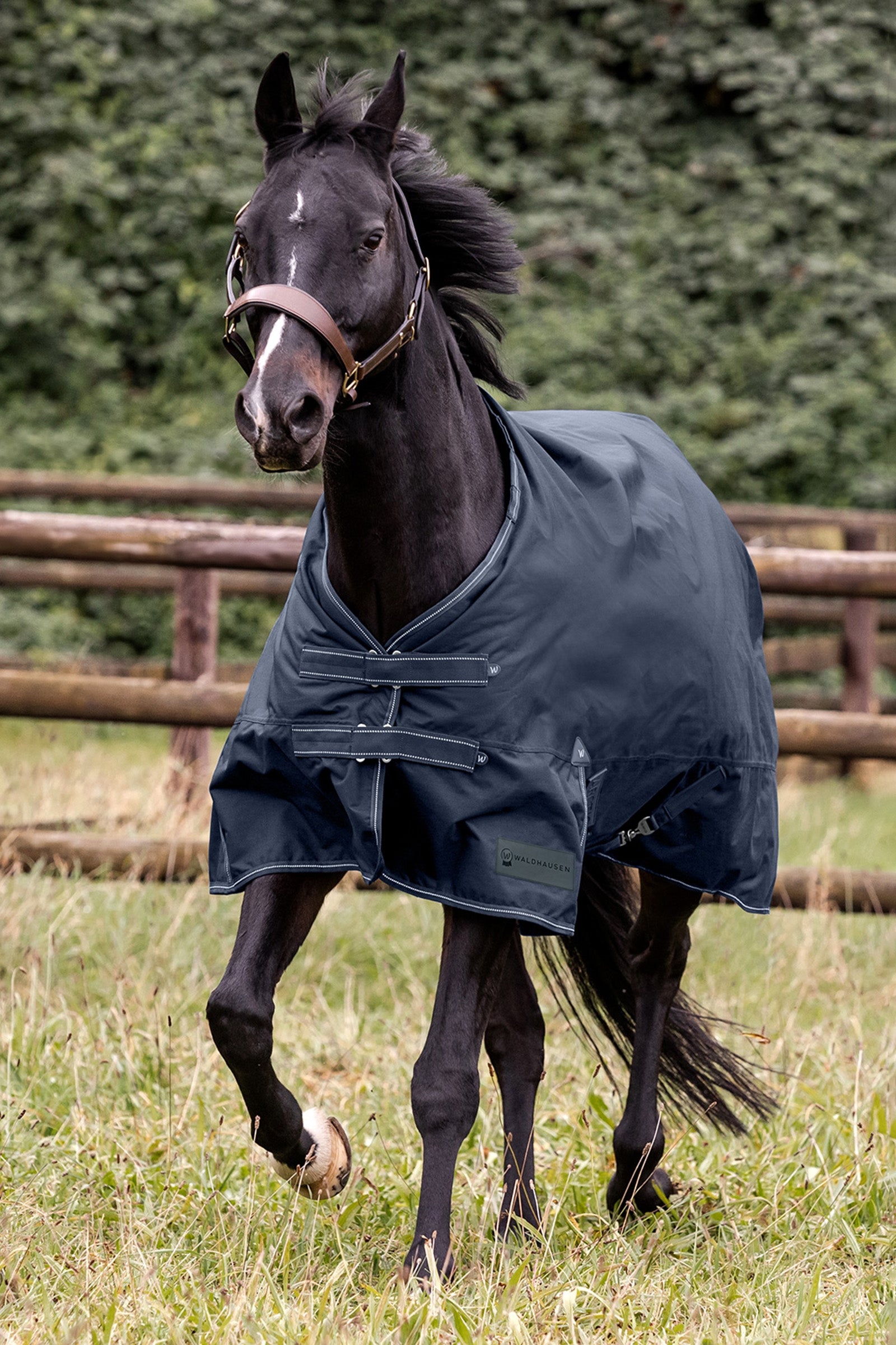 Waldhausen Arctic Outdoor Rug, 100 g Horse Rugs