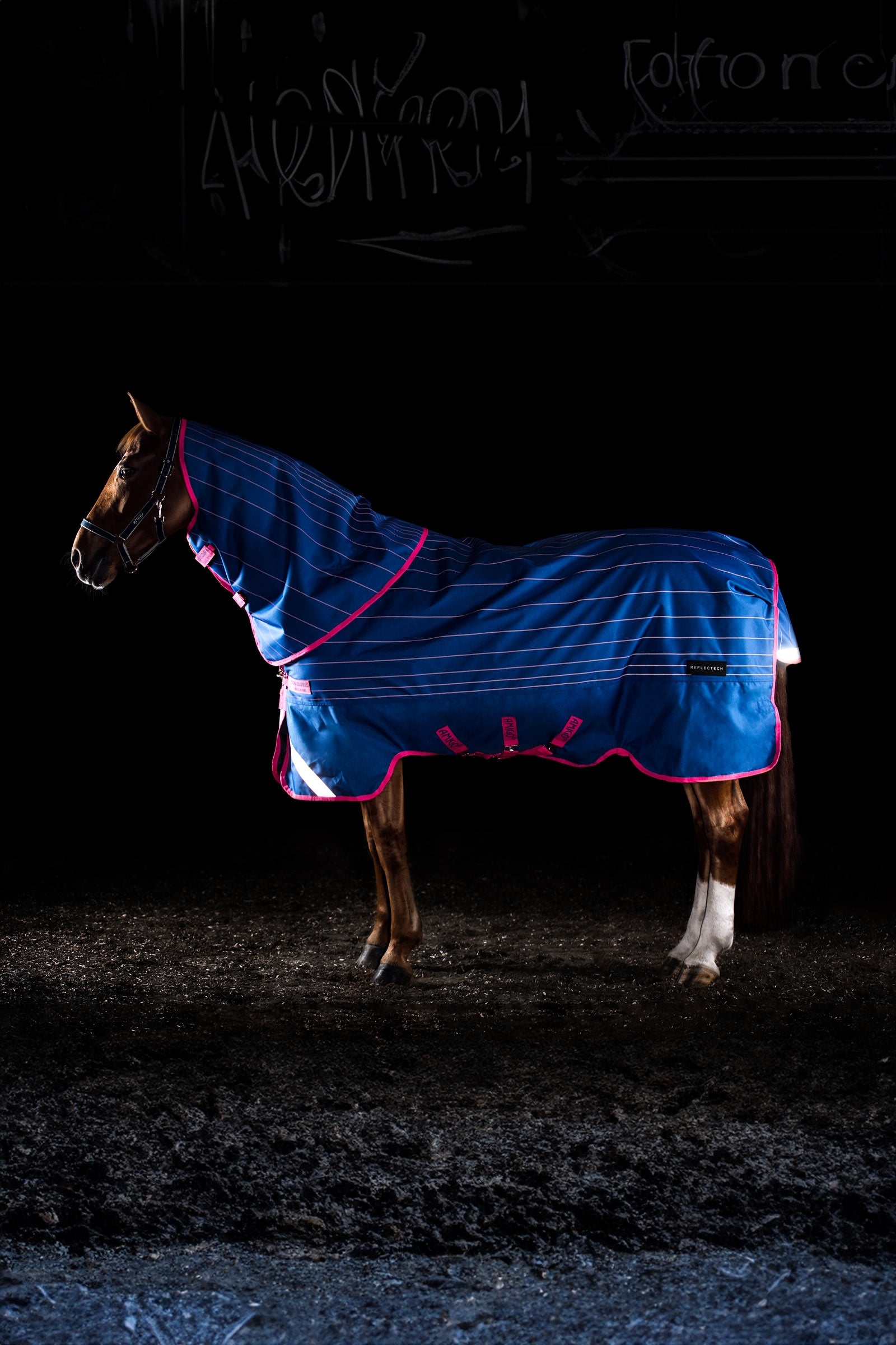 Horseware Amigo Bravo 12 Reflectech Plus ulkoloimi irrotettavalla kaulaosalla, 250g Loimet