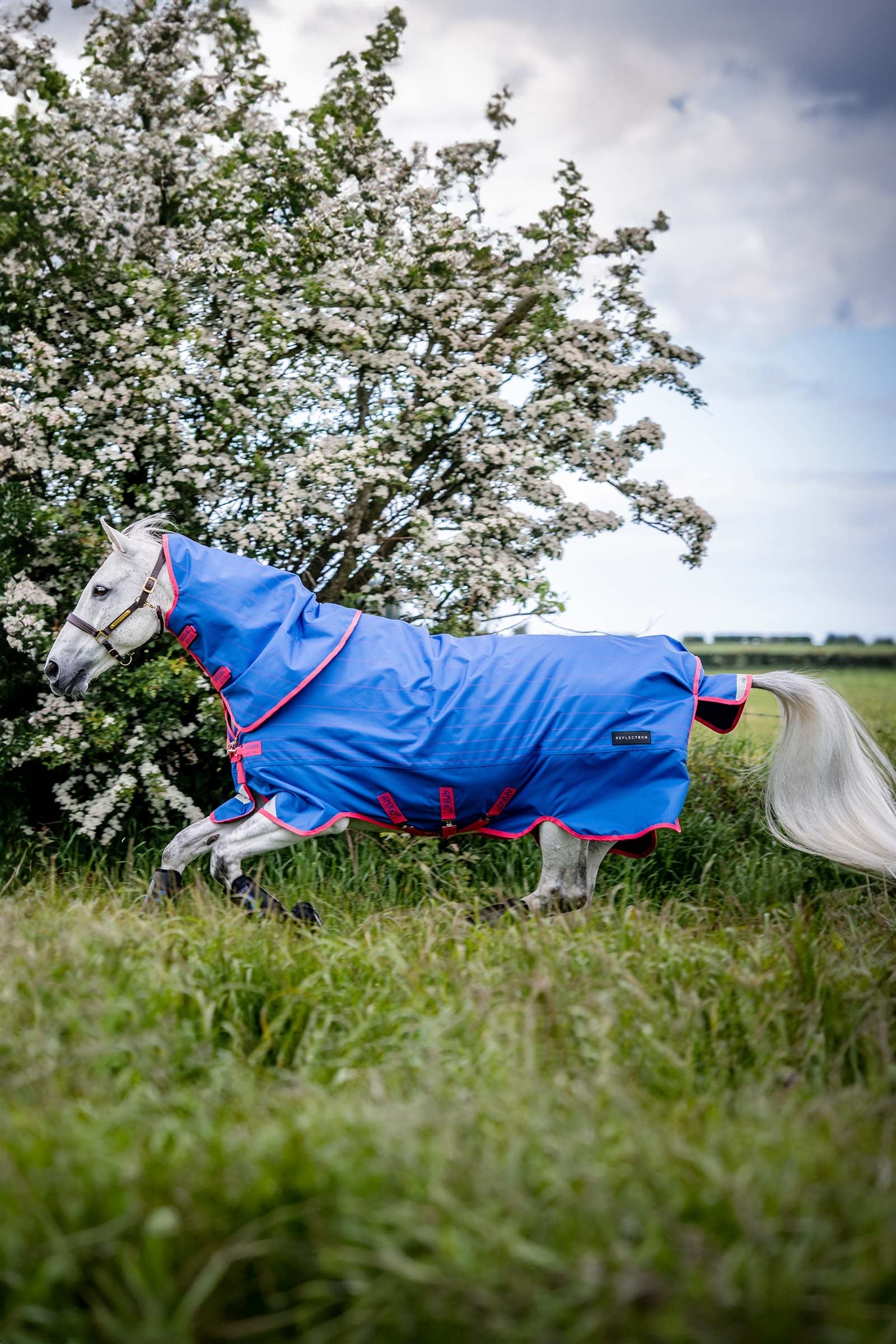 Horseware Amigo Bravo 12 Reflectech Plus Turnout Rug With Detachable Neck, 250g Horse Rugs