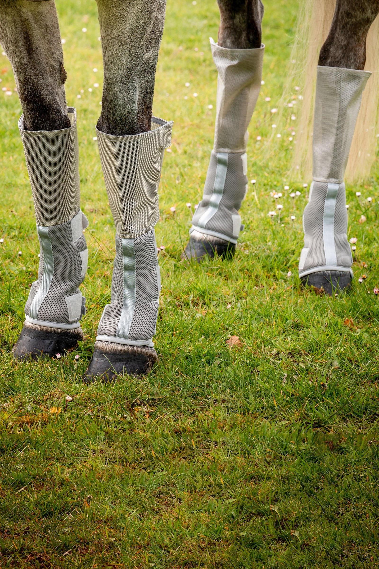 Horseware Rambo Tech-Fit Flyboot (Set of 4) Antifly Protection for Horses