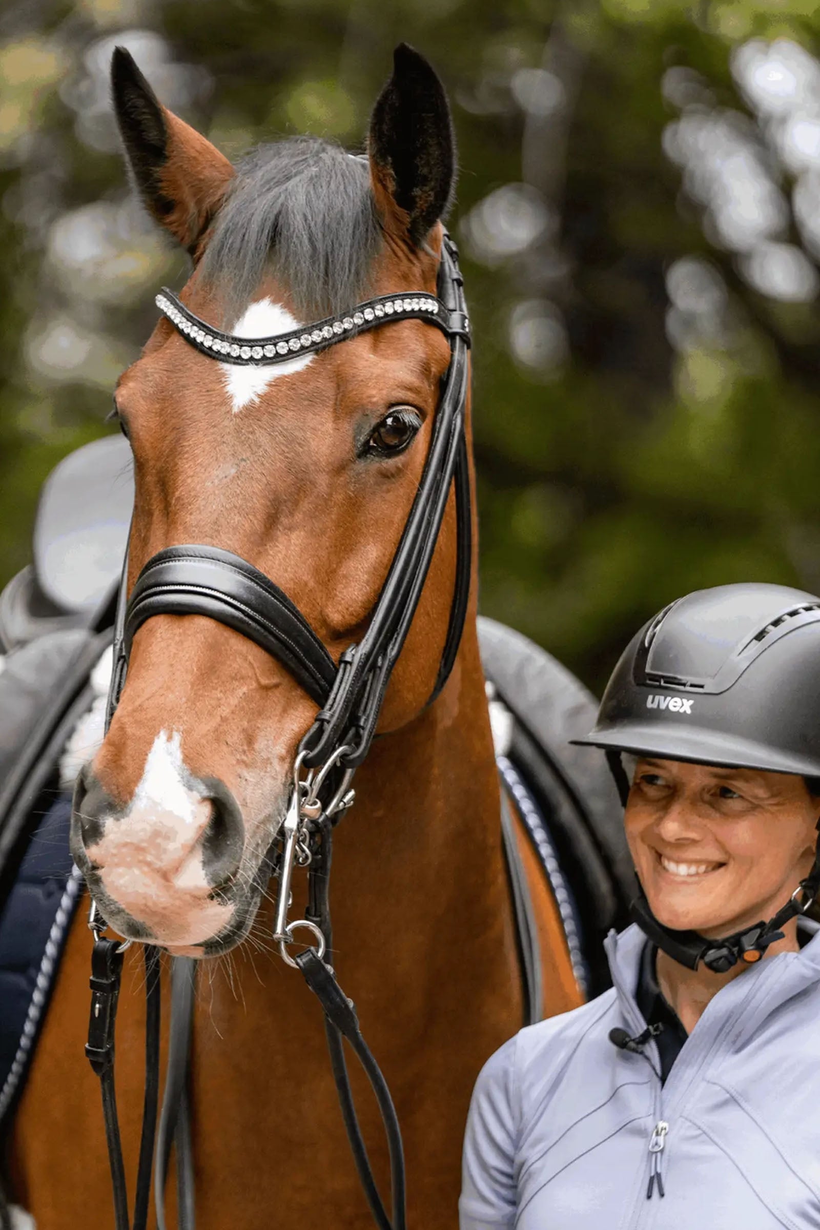 Sprenger Novocontact Weymouth 14mm Sensogan with 7cm Stainless Steel Cheeks Horse Bits