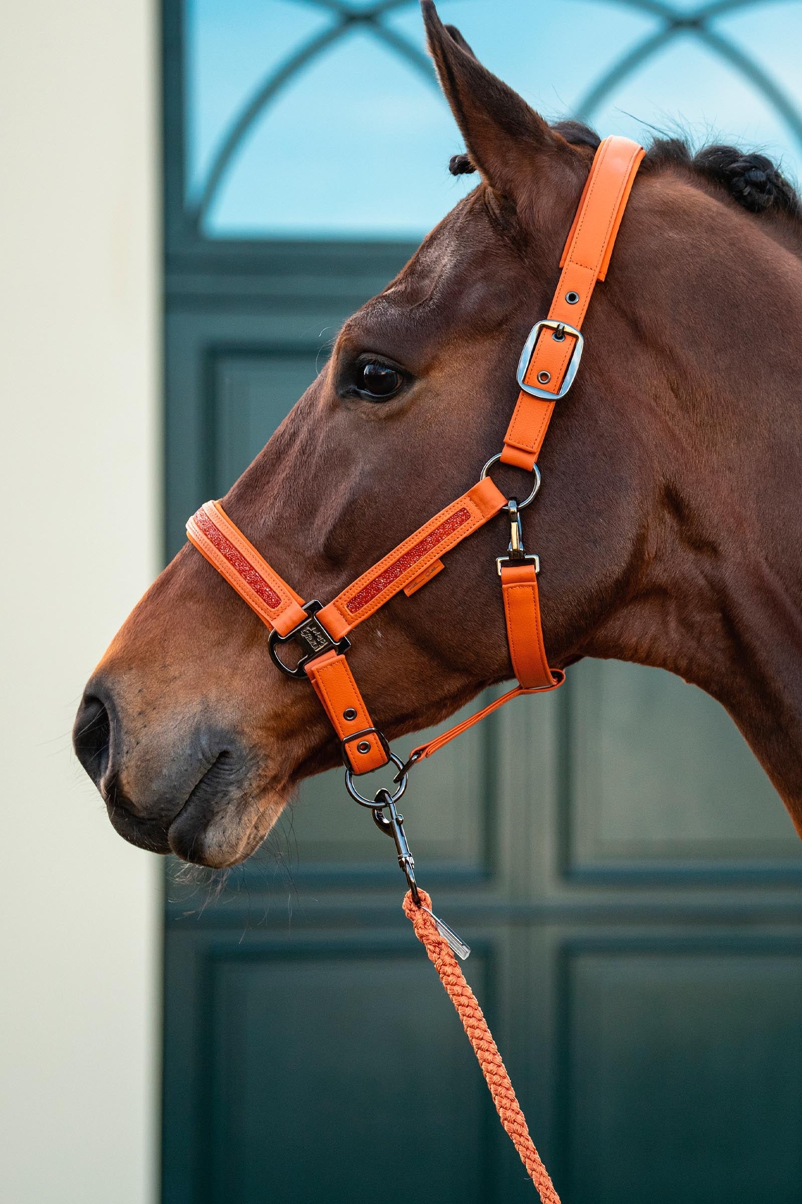 Eskadron Platinum 26 Jewel Double Pin Headcollar, Faux Leather Halters & Leads