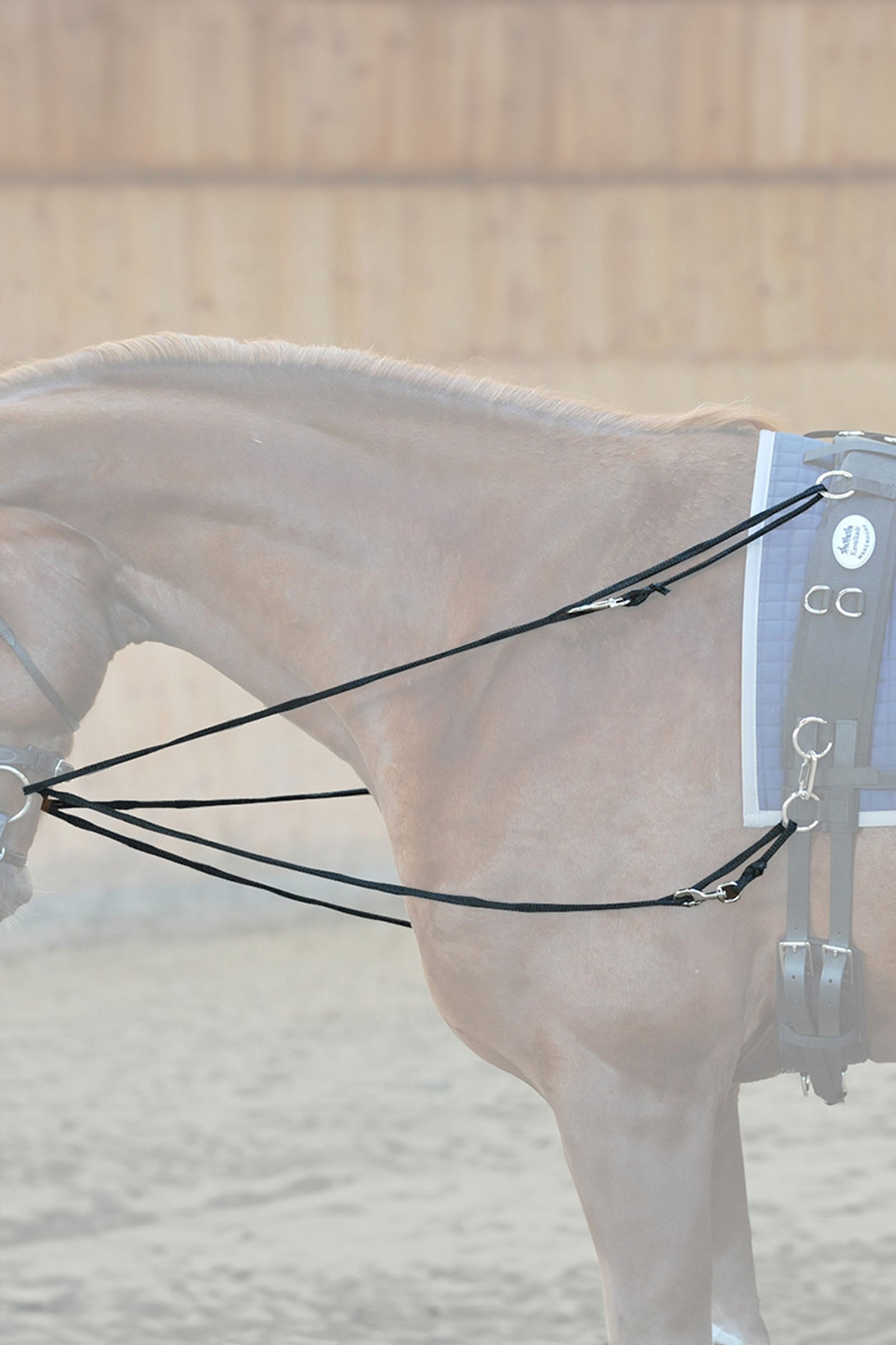 Kavalkade Philip reins Easy - nylon Bridles & Reins