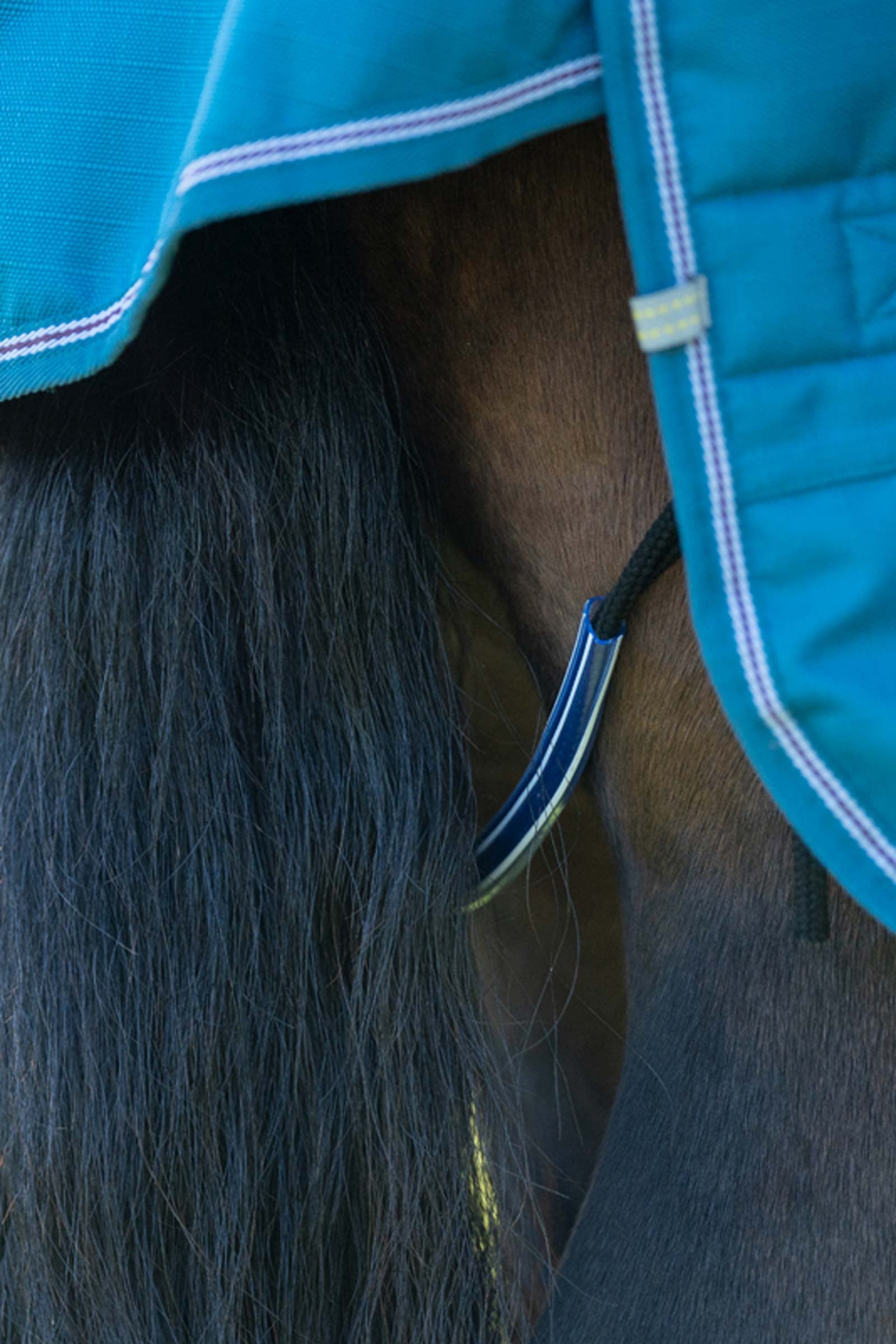 Kavalkade Alaska IV Fleece Turnout Rug Horse Rugs