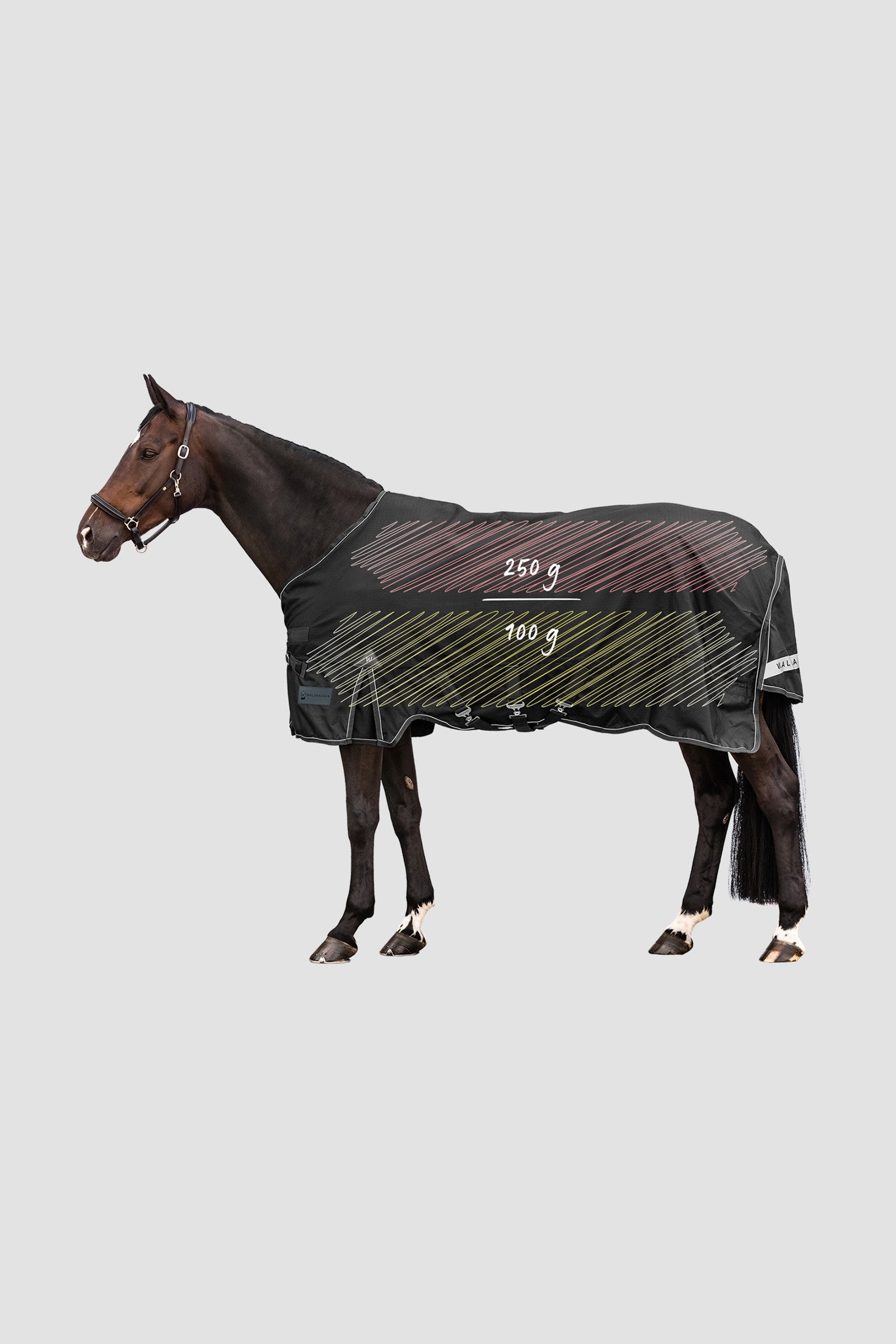 Waldhausen Outdoor Rug Scandic Multi-Layer 250 g/100 g Horse Rugs