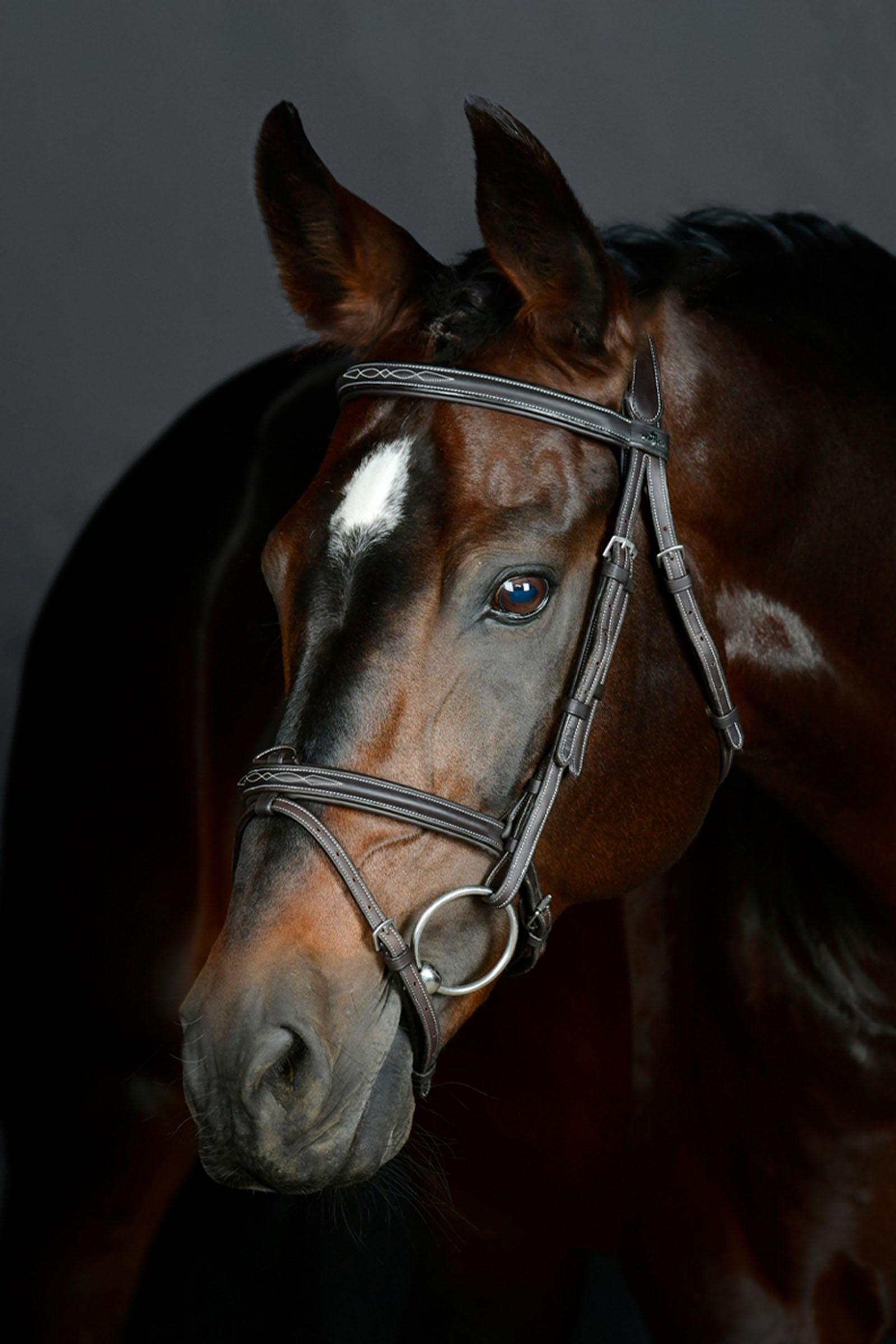 Collegiate Comfitec Opulux Fancy Stitch pehmustettu hannoverilainen suitsi Suitset & Ohjat