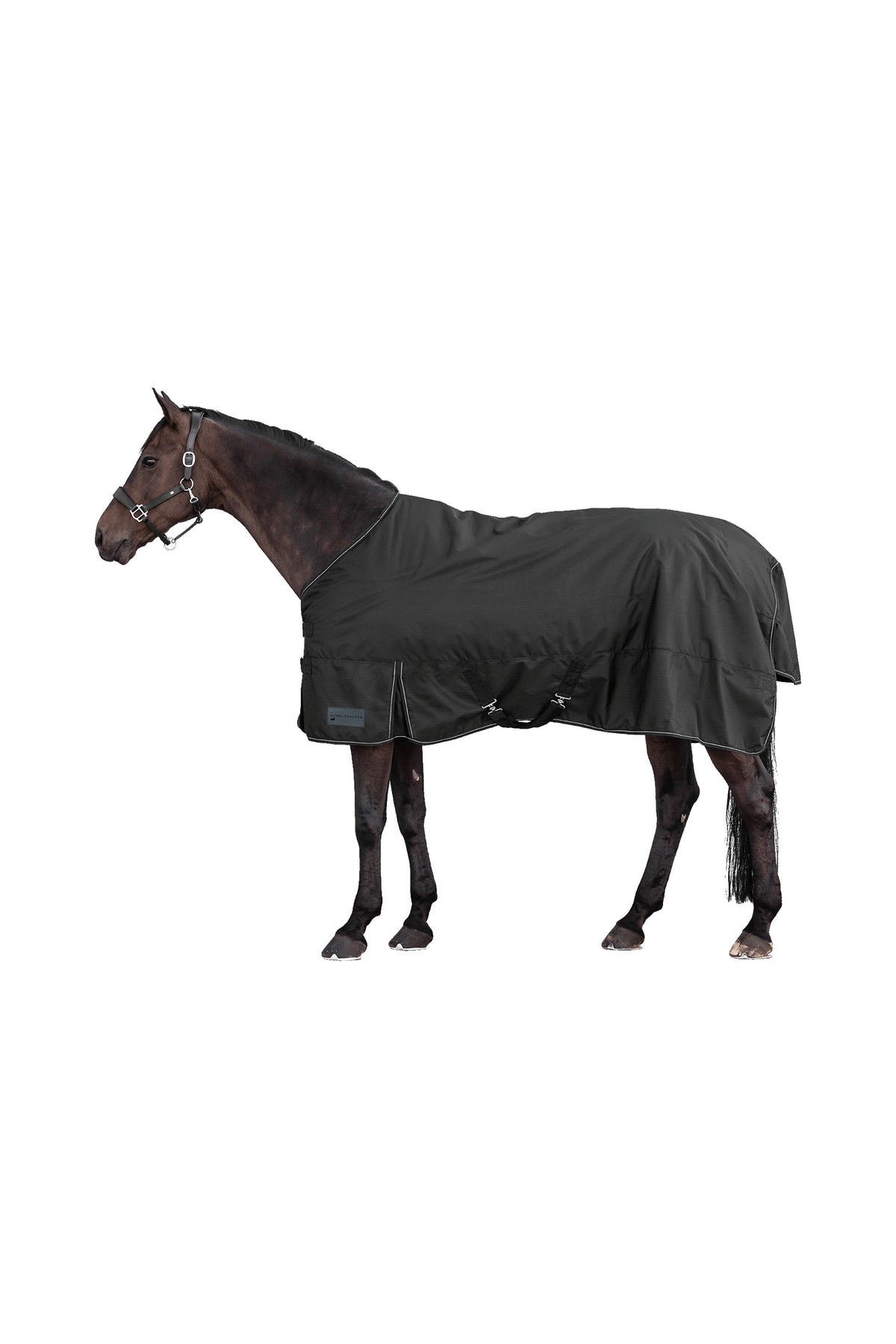 Waldhausen NORDIC Outdoor Rug with Fleece Horse Rugs