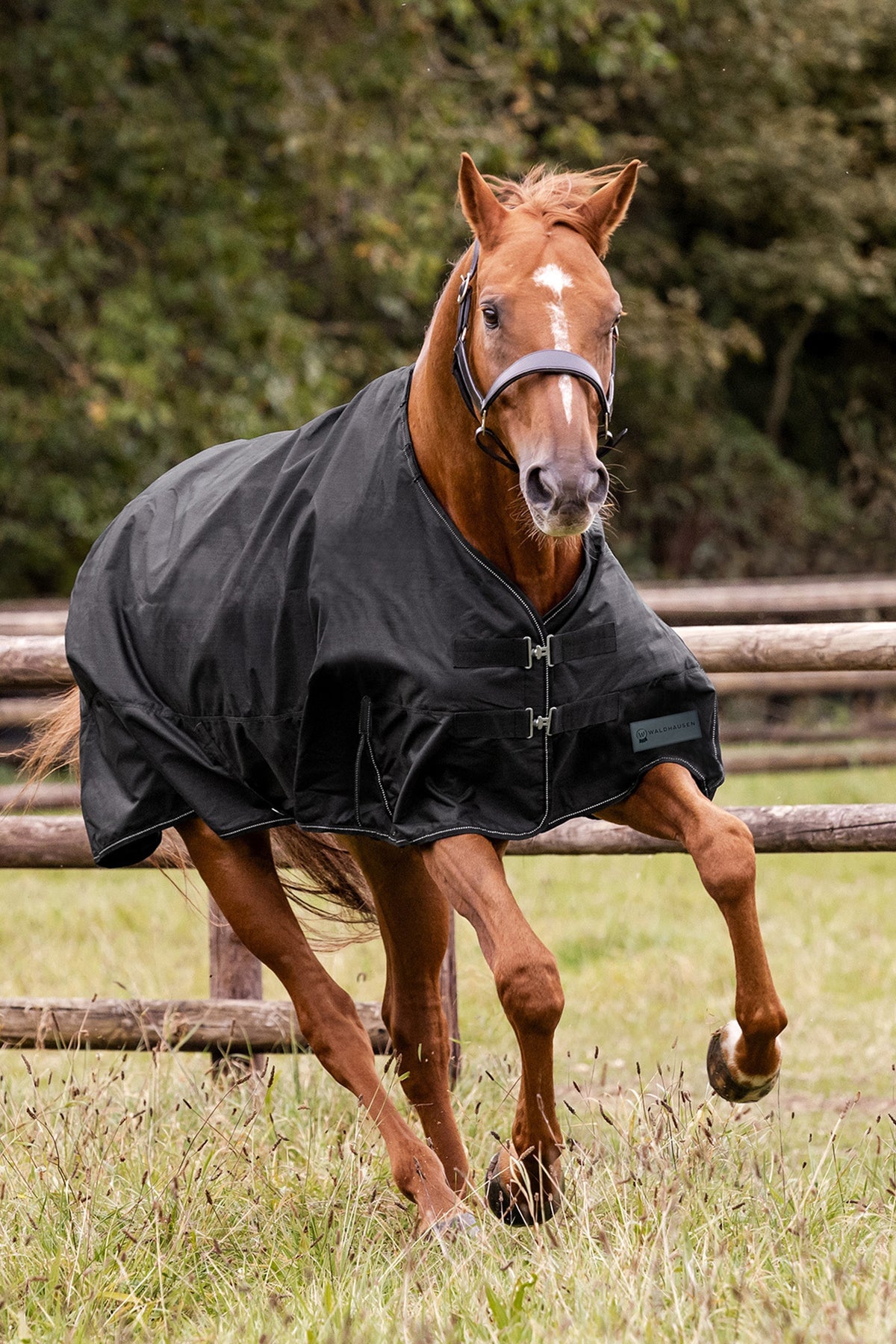 Waldhausen NORDIC Outdoor Rug with Fleece Horse Rugs