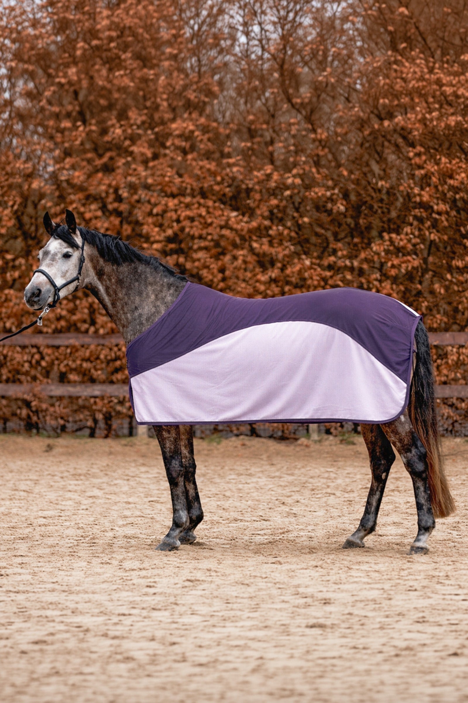 Kavalkade Aeris Fly Rug Horse Rugs