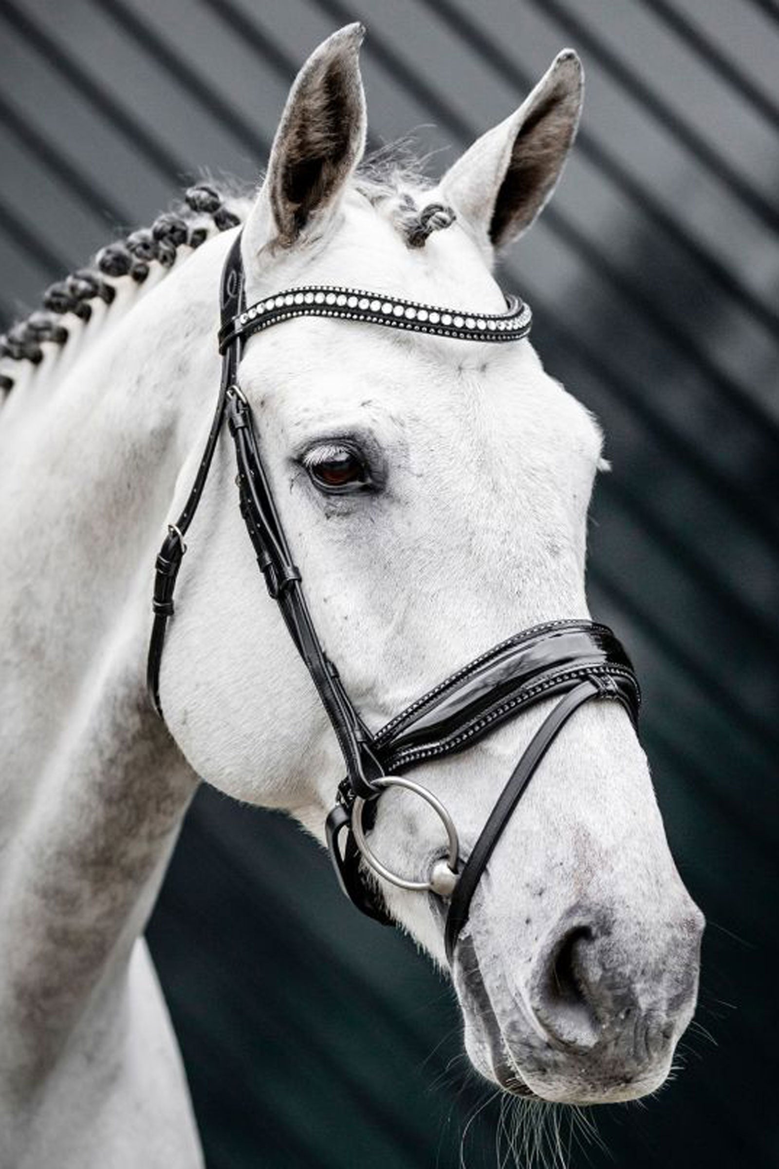 Horseware Diamante suitset yhdistetyllä turparemmillä Suitset & Ohjat