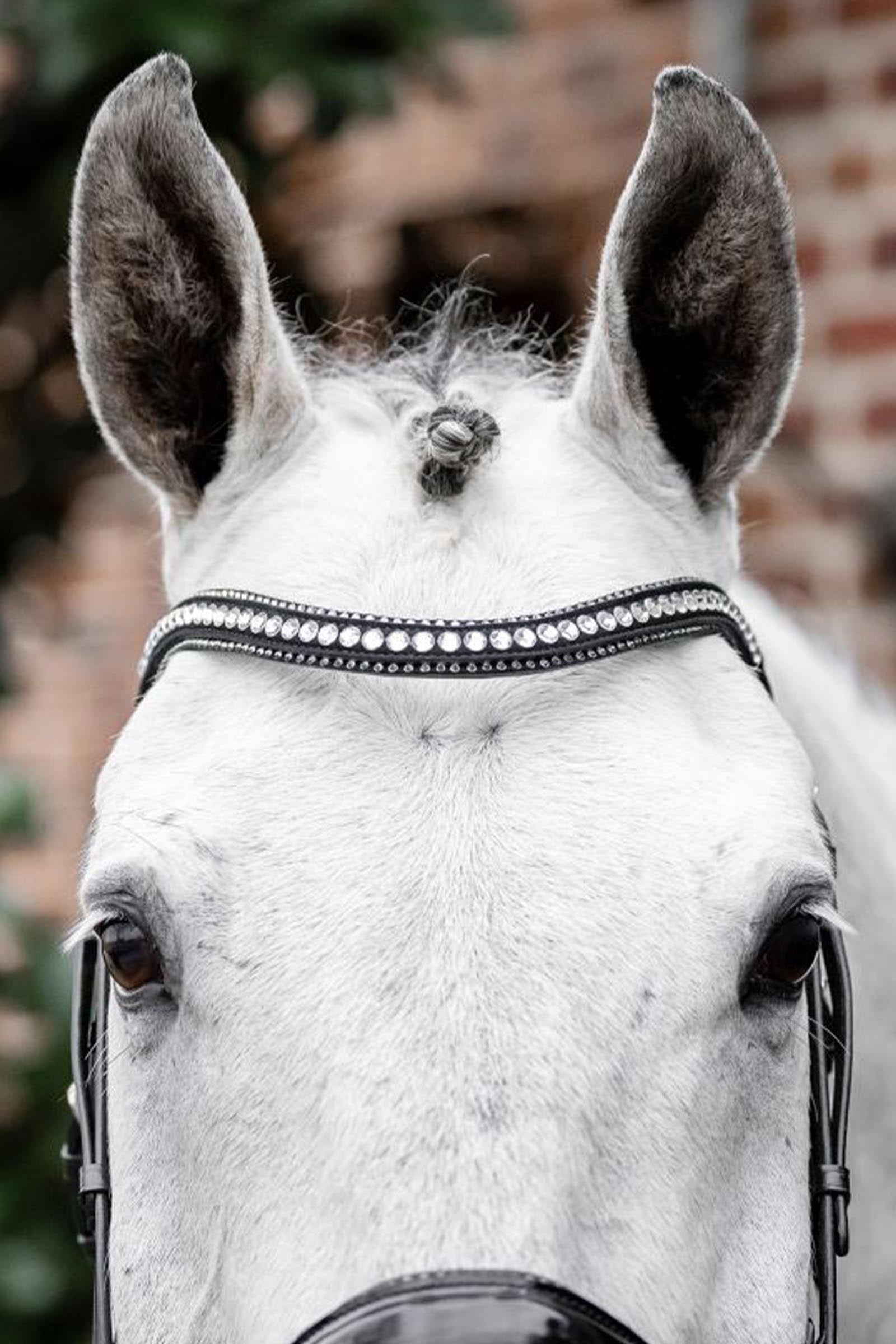 Horseware Diamante Flash Bridle Bridles & Reins
