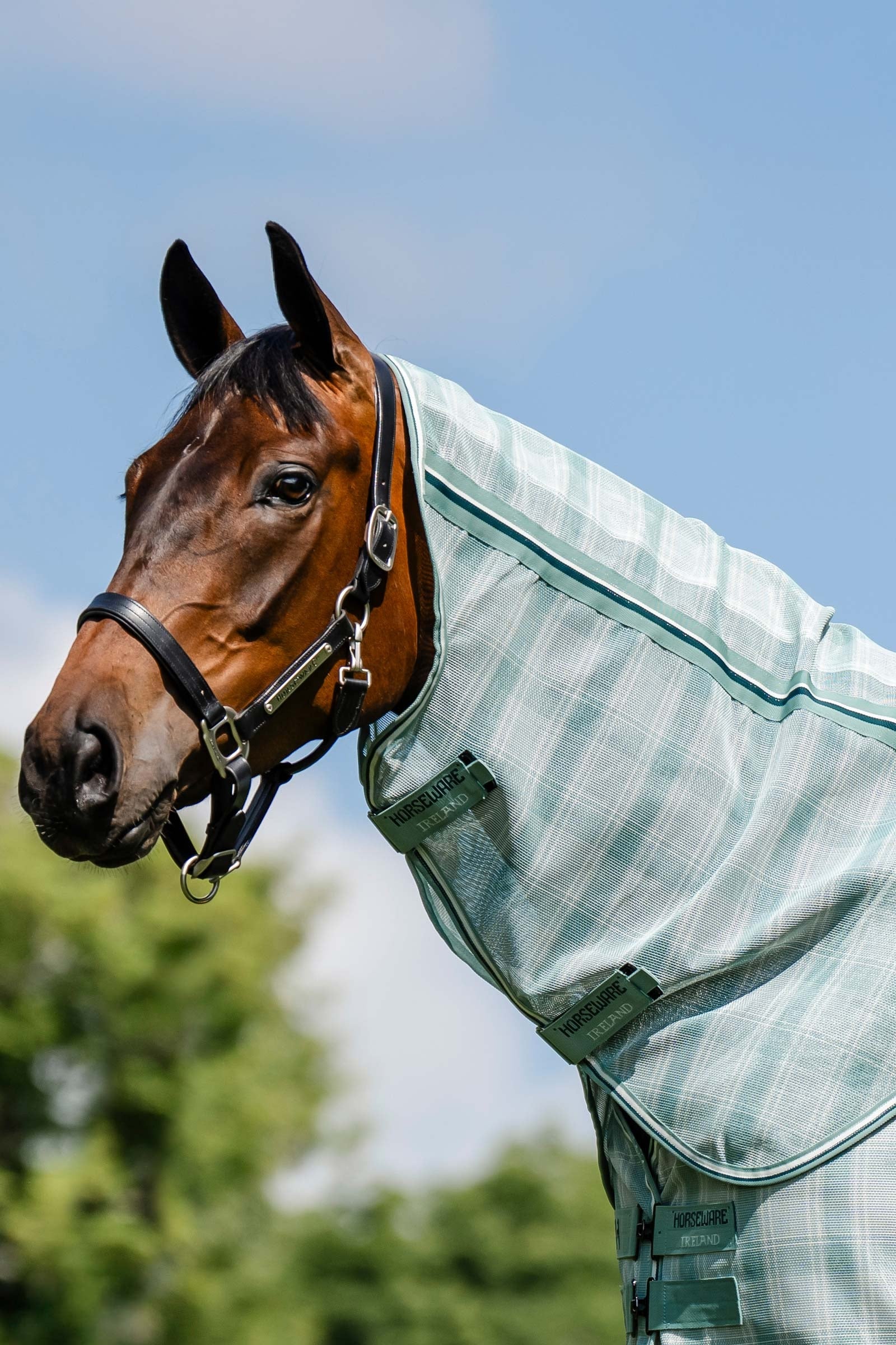 Horseware Newmarket huppu hyönteisloimeen UV-suojalla Loimet