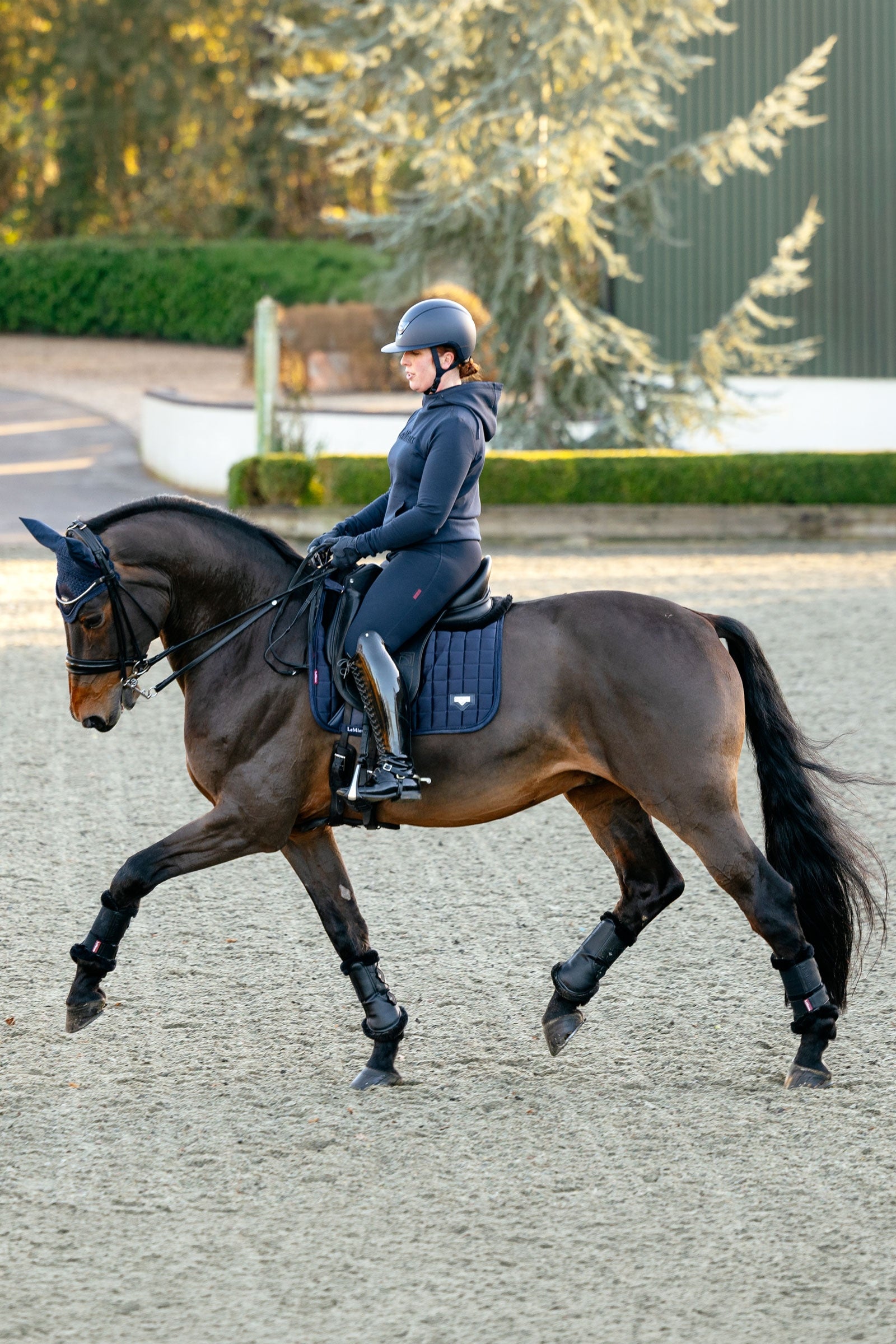 LeMieux Loire Dressage Square Saddle Pad Saddle Pads