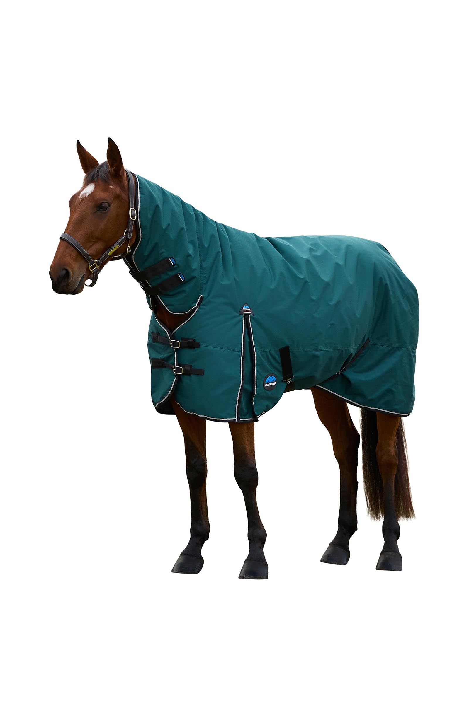Weatherbeeta Comfitec Classic Turnout Rug Combo 220g Loimet