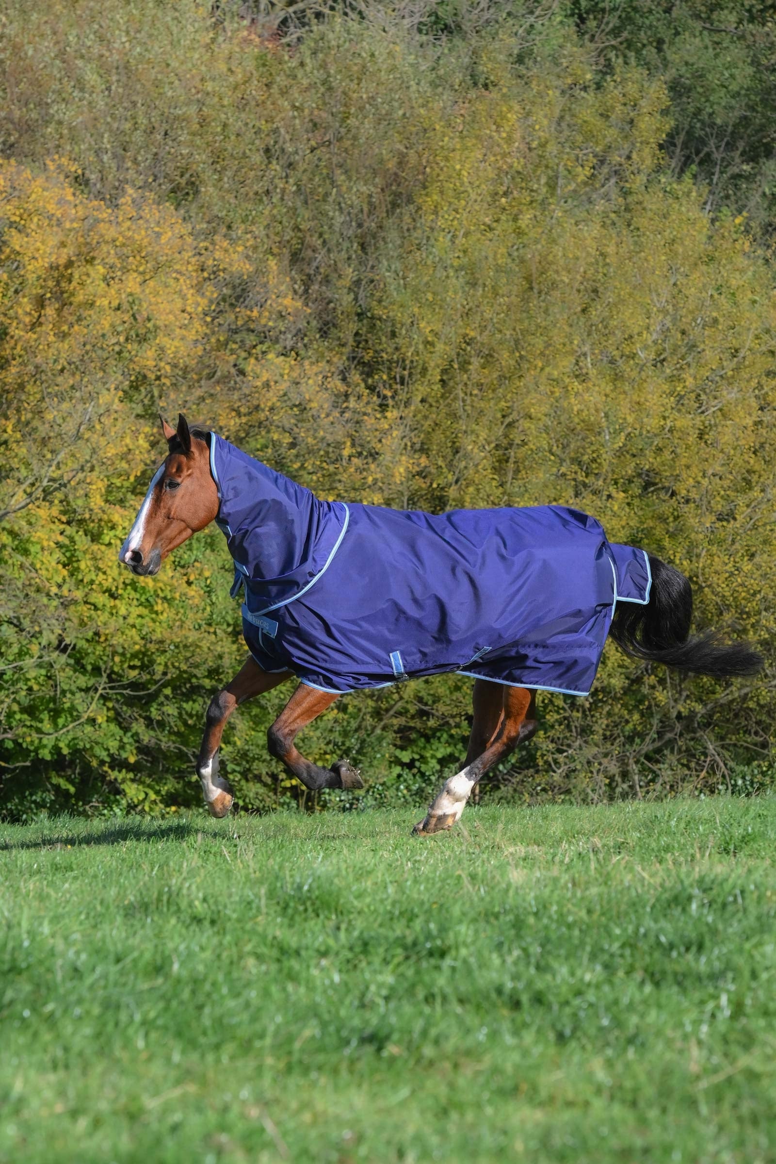 Bucas Atlantic Exclusive Rug & Neck Set, 0 g Loimet