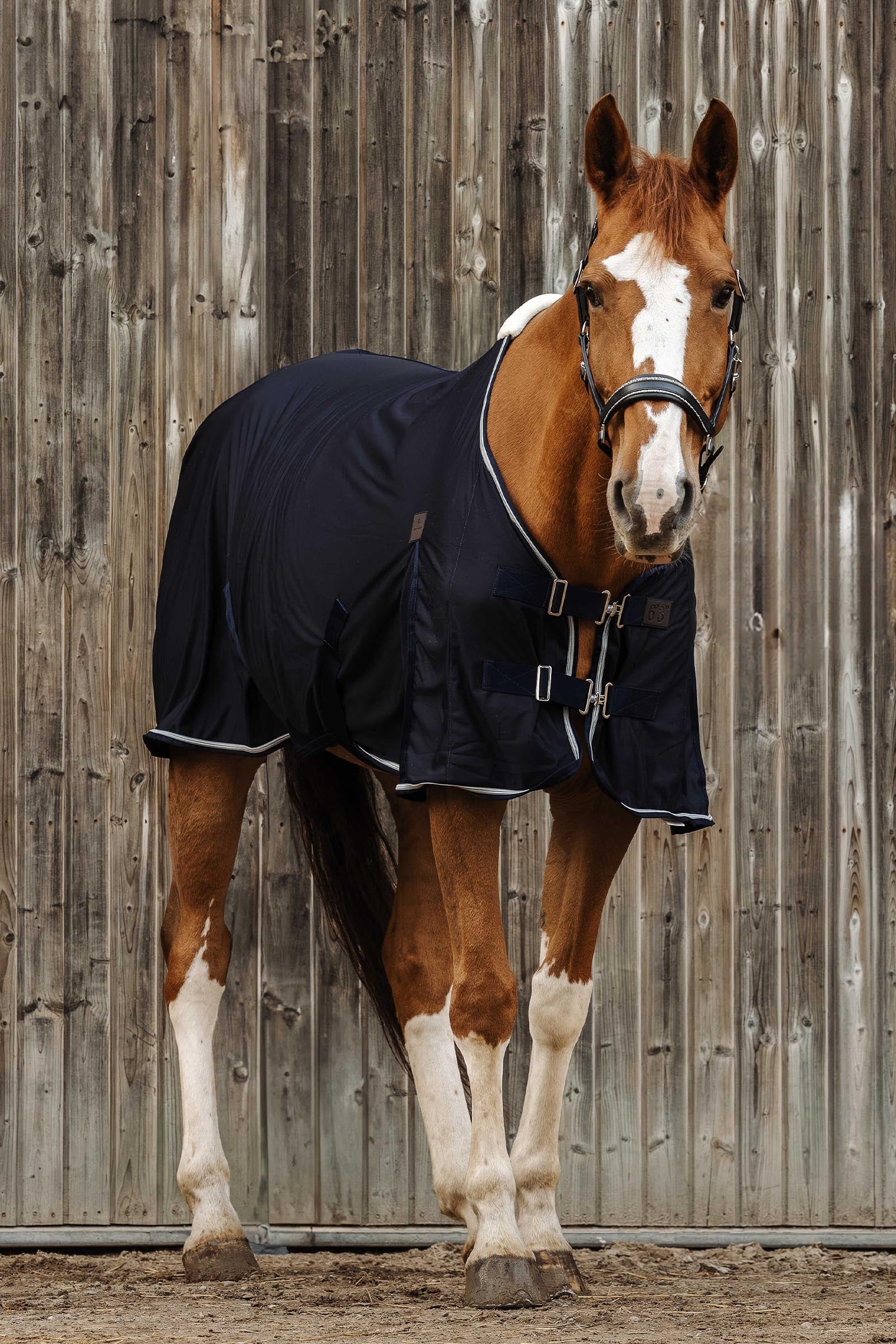 Equi Theme EQUITHÈME Micro Mesh Sheet Horse Rugs