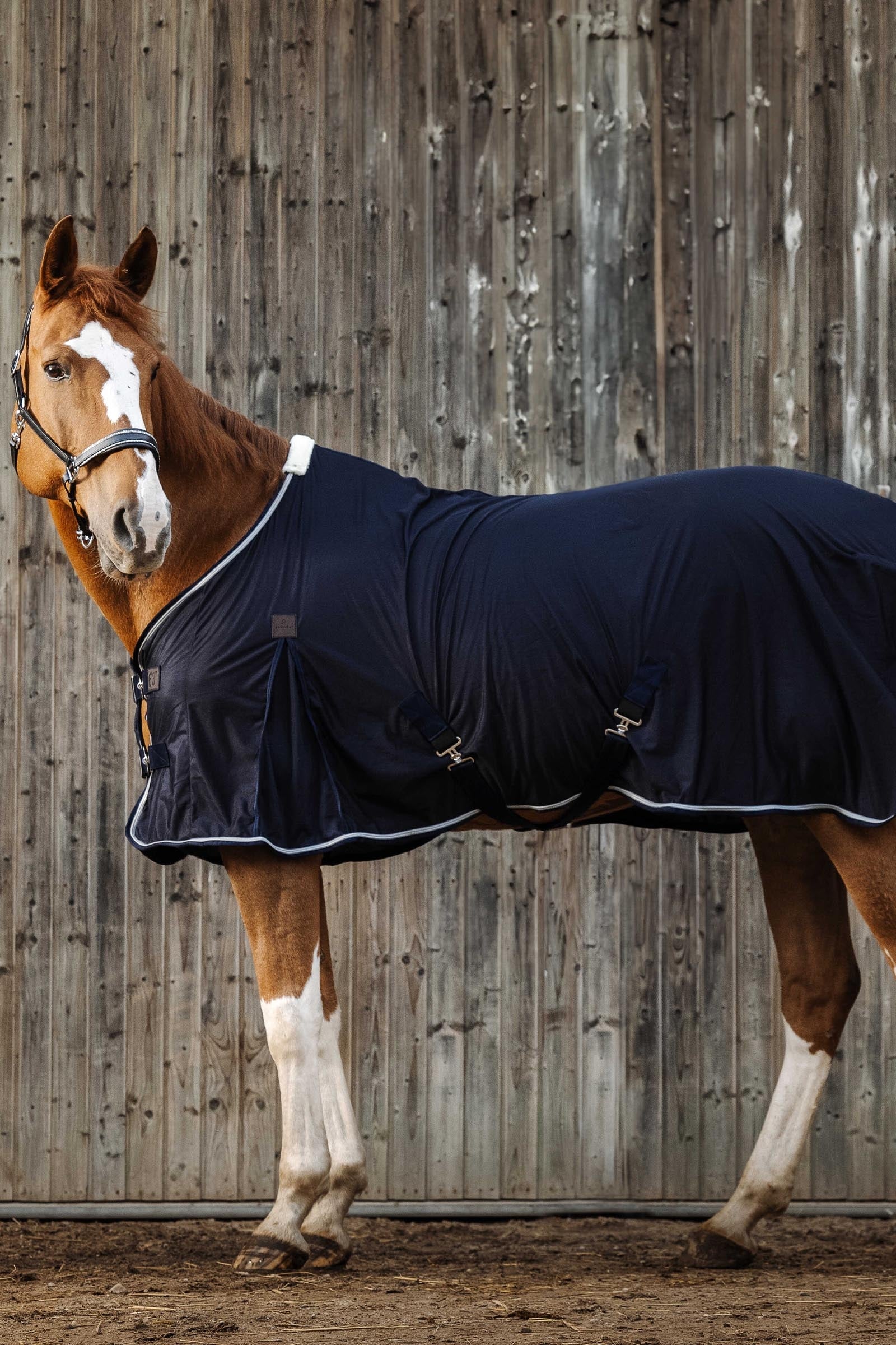 Equi Theme EQUITHÈME Micro Mesh Sheet Horse Rugs