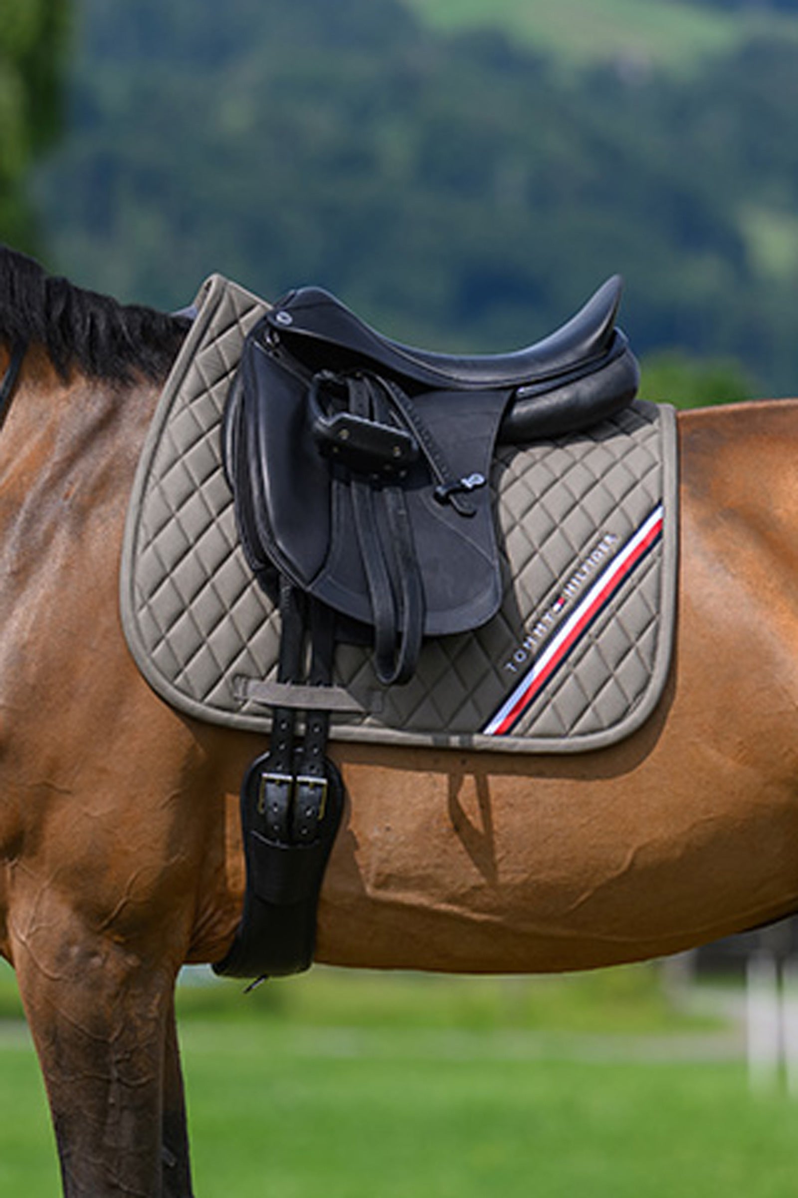 Tommy Hilfiger Equestrian Stanford koulusatulan huopa Satulahuovat