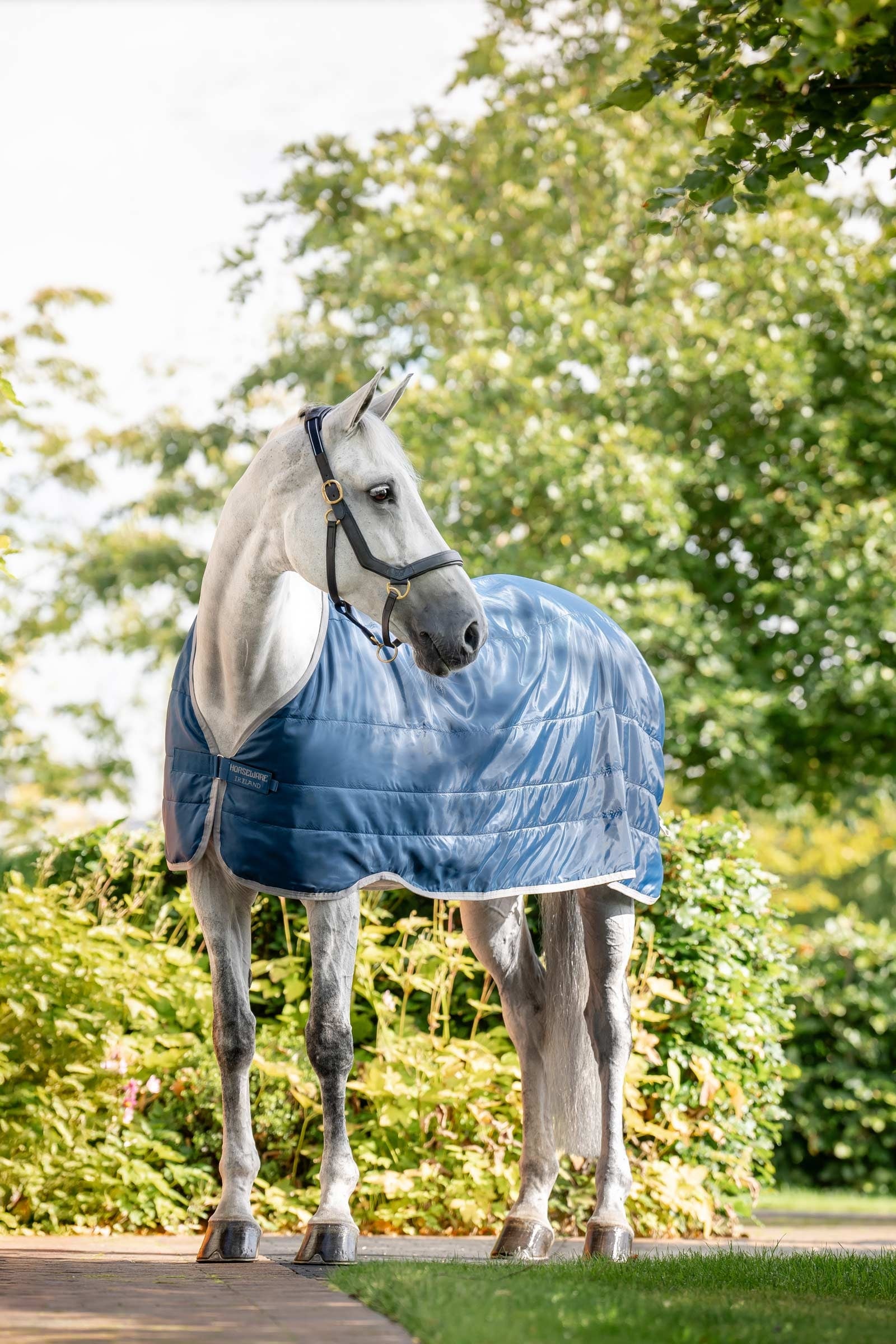 Horseware Ionic Therapy Liner 50g Loimet