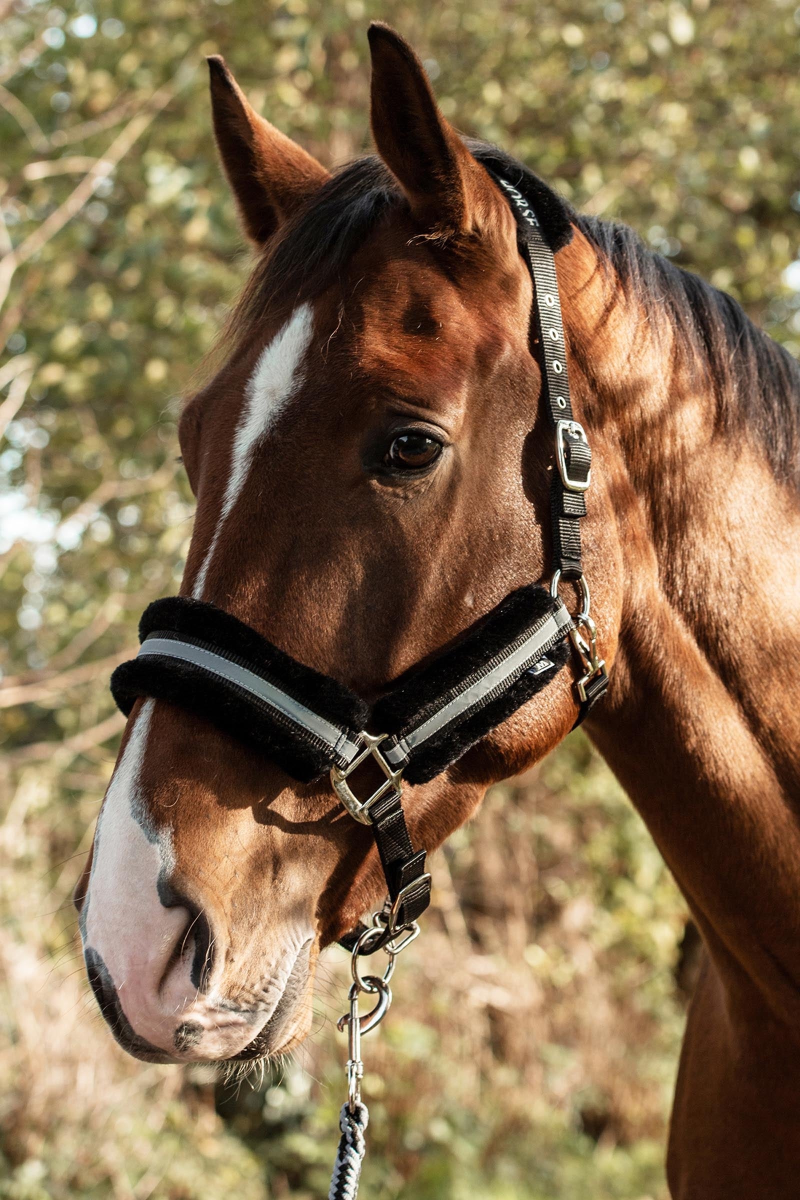 Mountain Horse Adjustable Halter With Faux Fur Riimut & riimunnarut