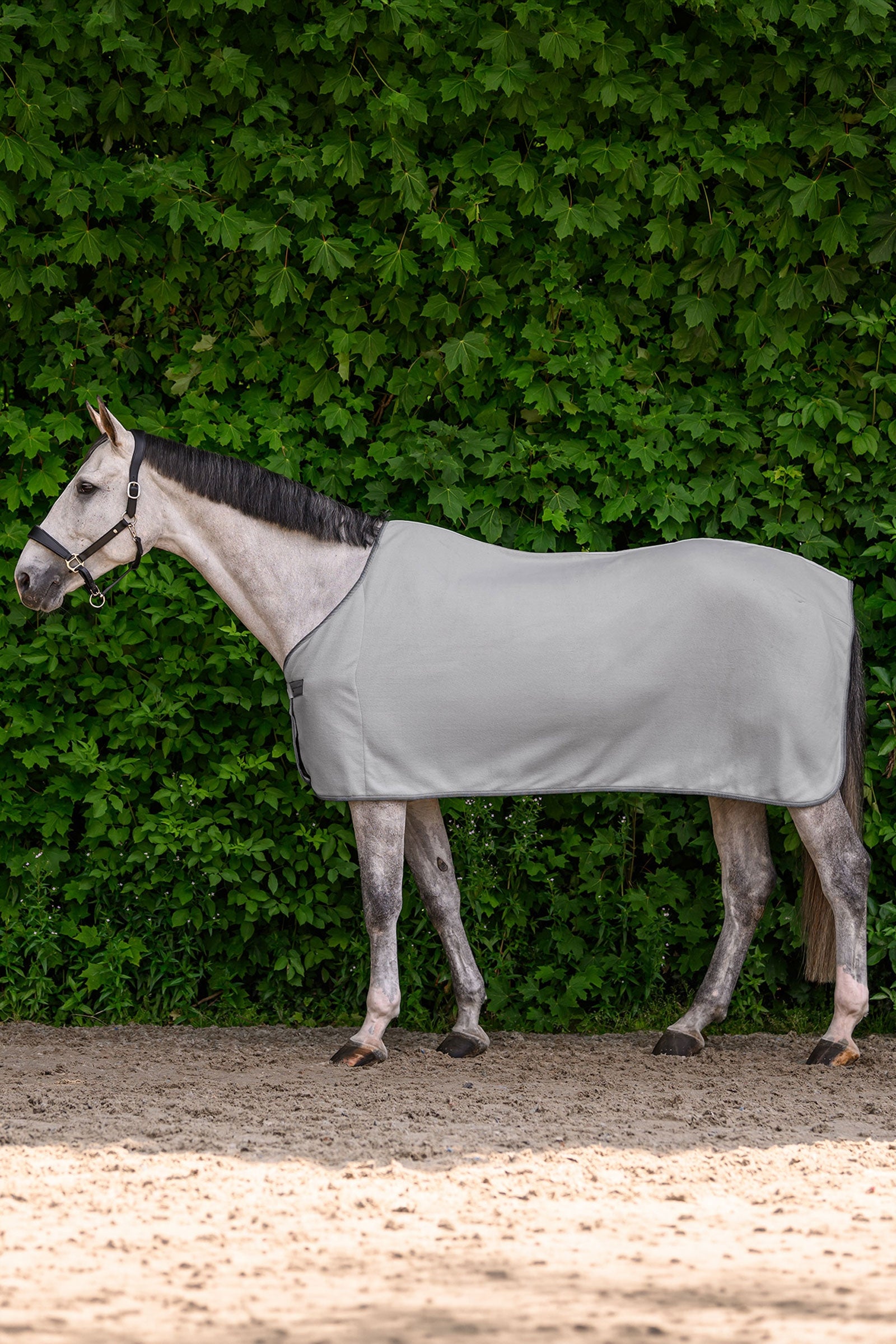 Waldhausen ECONOMIC fleece loimi Loimet