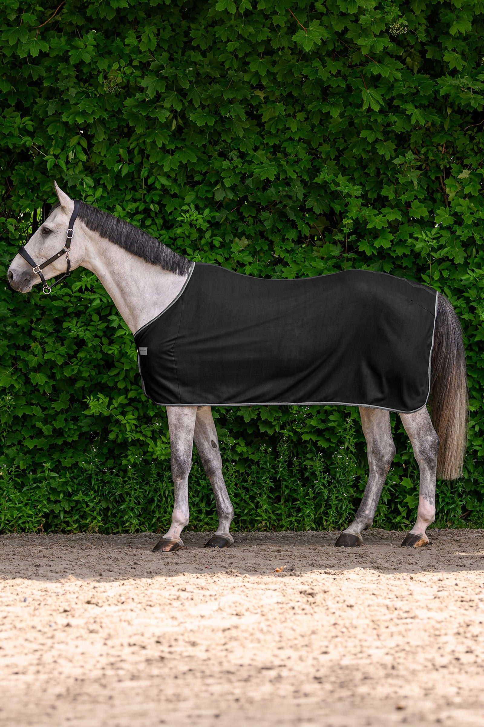 Waldhausen ECONOMIC fleece loimi Loimet