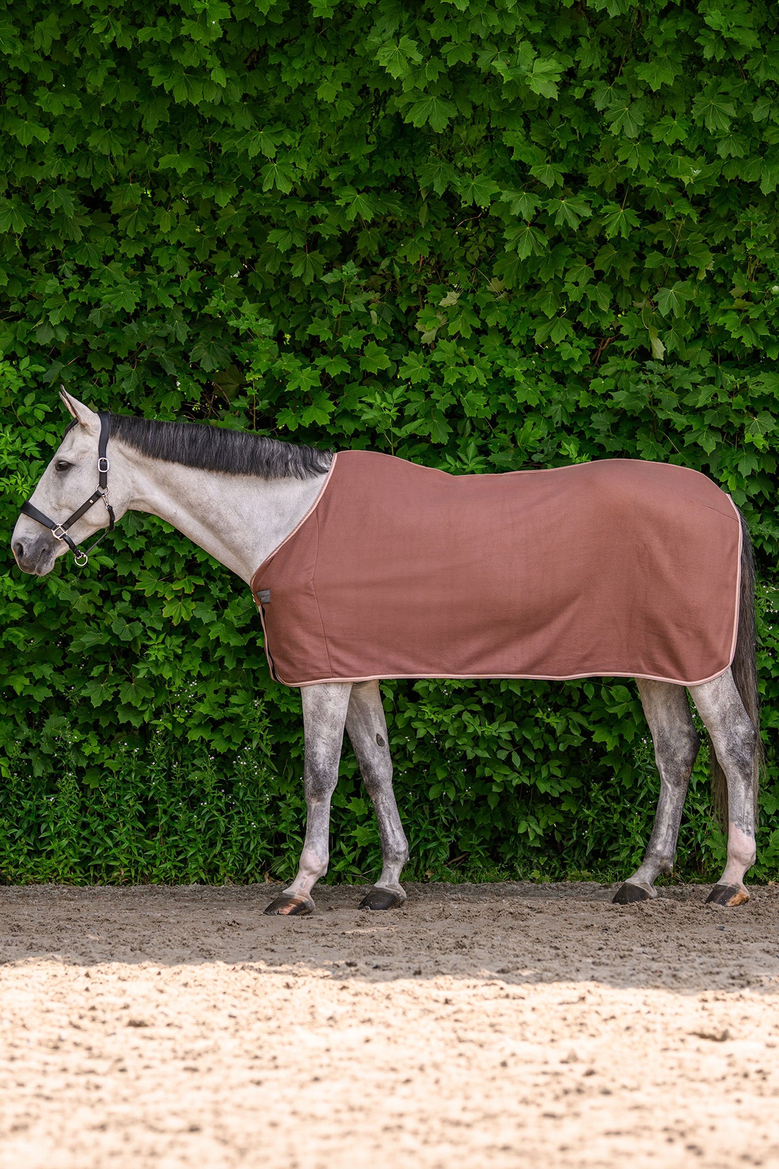 Waldhausen ECONOMIC fleece loimi Loimet