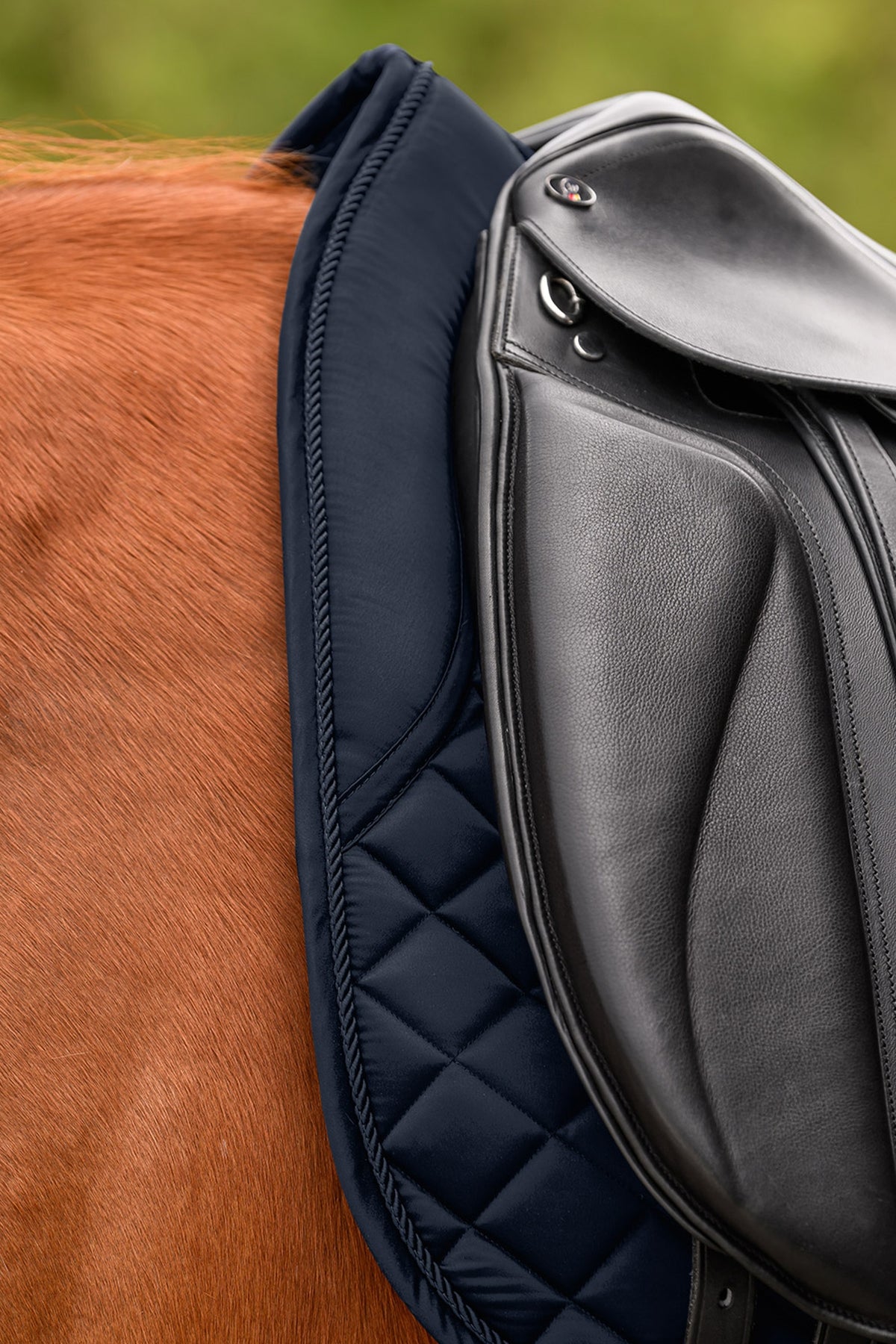 Waldhausen Nepal Dresssage Saddle Pad Saddle Pads