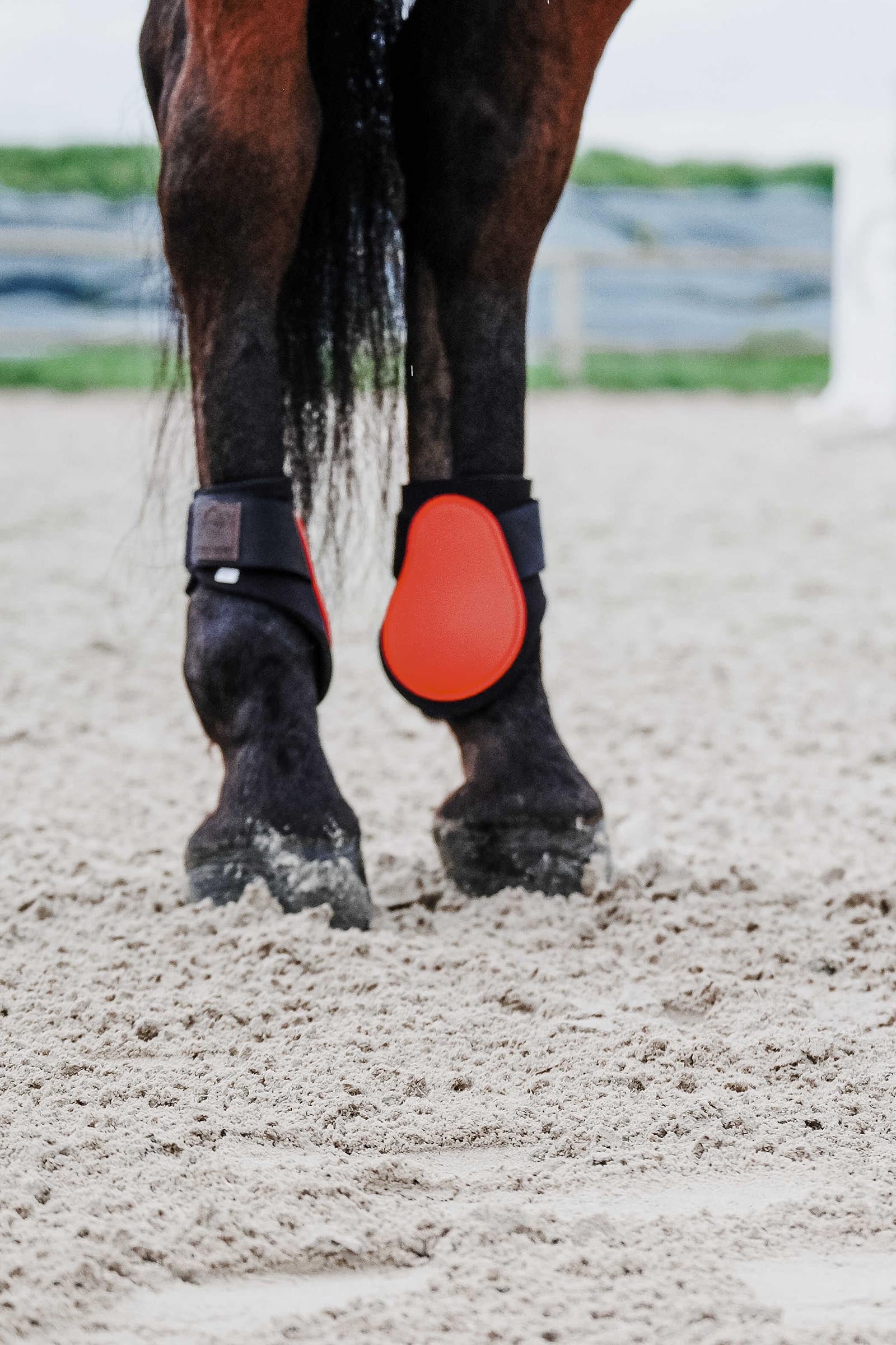 EQUITHÈME Tara Fetlock Boots Leg & Hoof Protection