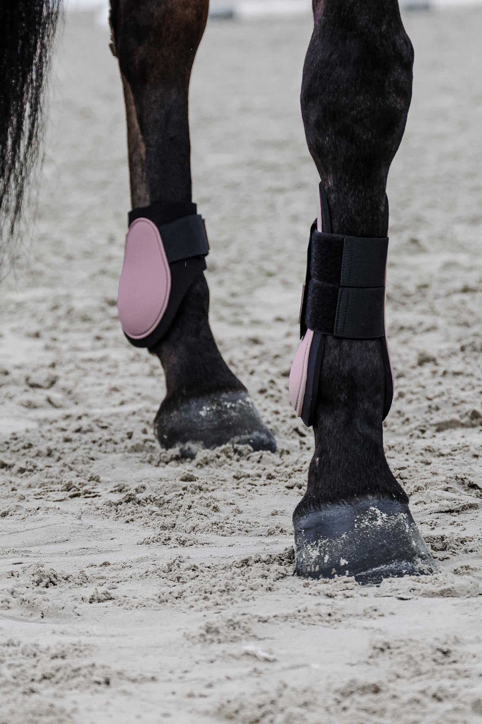 EQUITHÈME Tara Fetlock Boots Leg & Hoof Protection