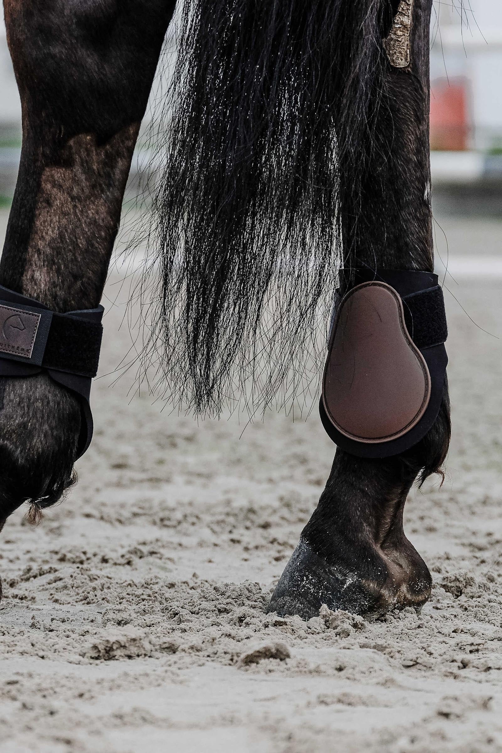 EQUITHÈME Tara Fetlock Boots Leg & Hoof Protection