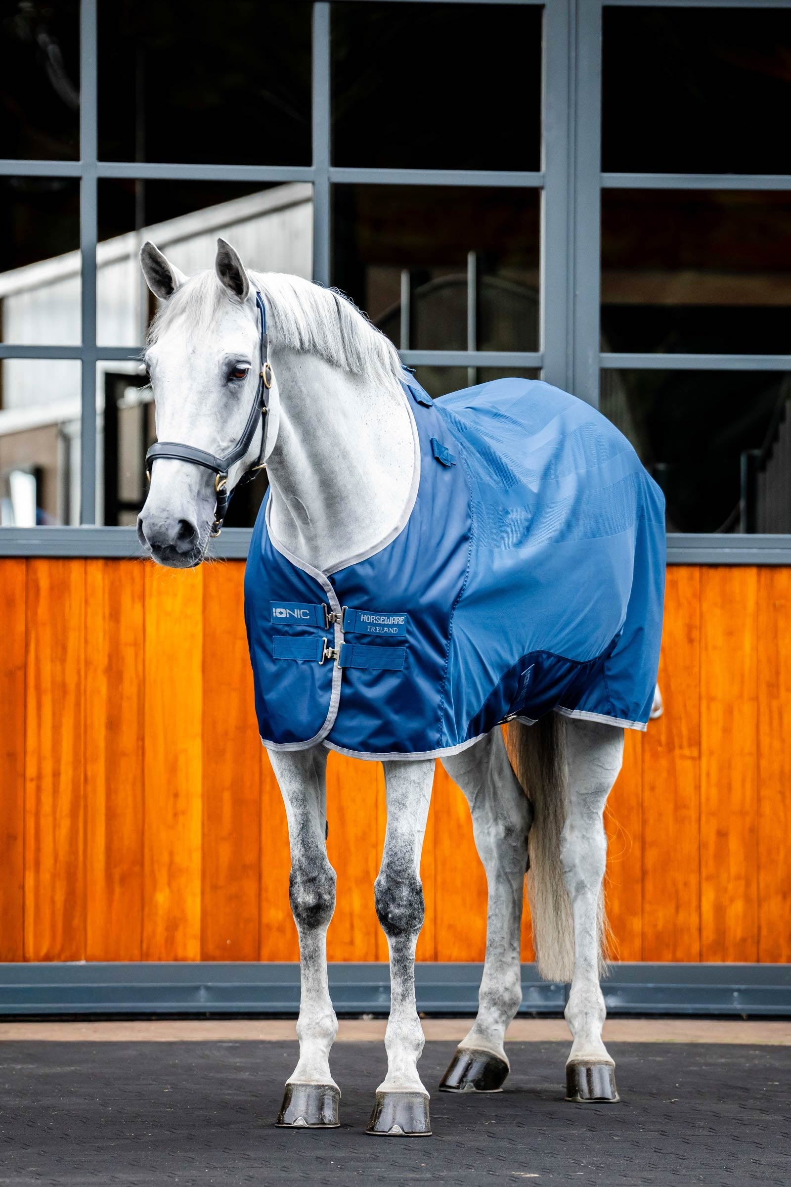 Horseware Ionic Therapy Mesh Cooler Rug Horse Rugs
