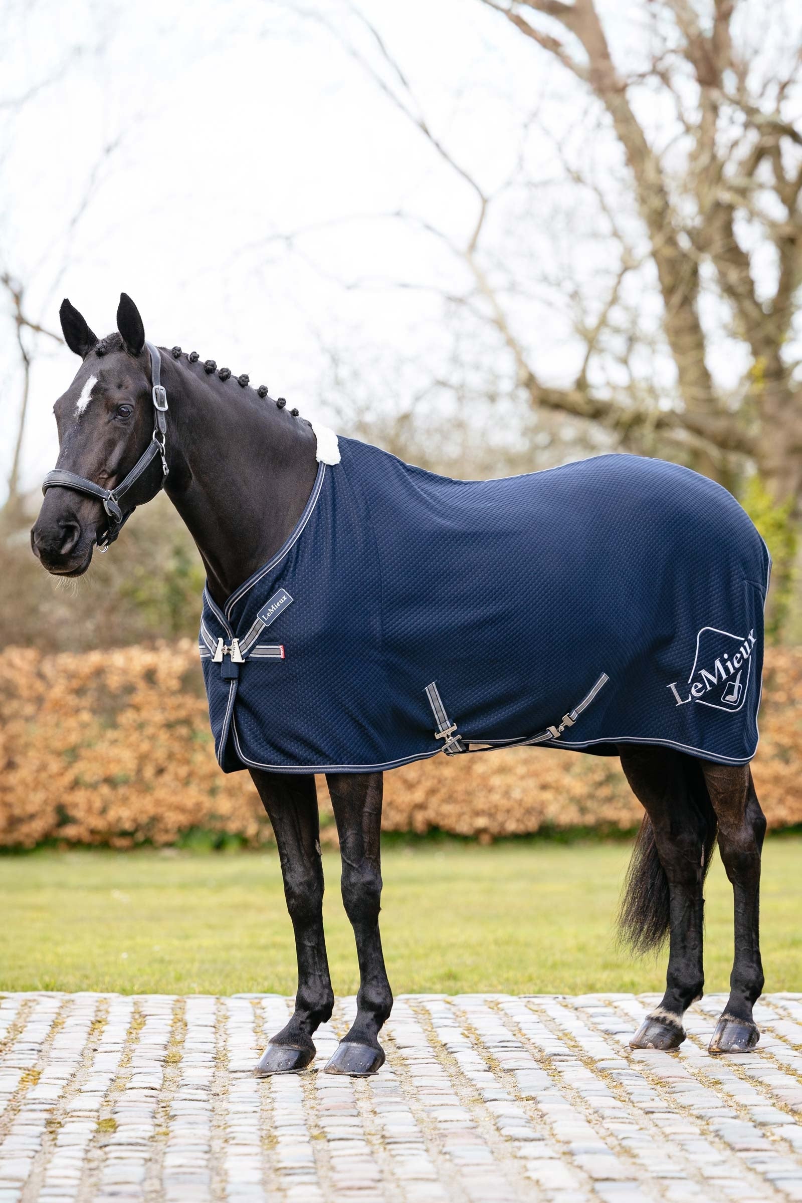 LeMieux Kudos Bambu Hikehuopa Loimet