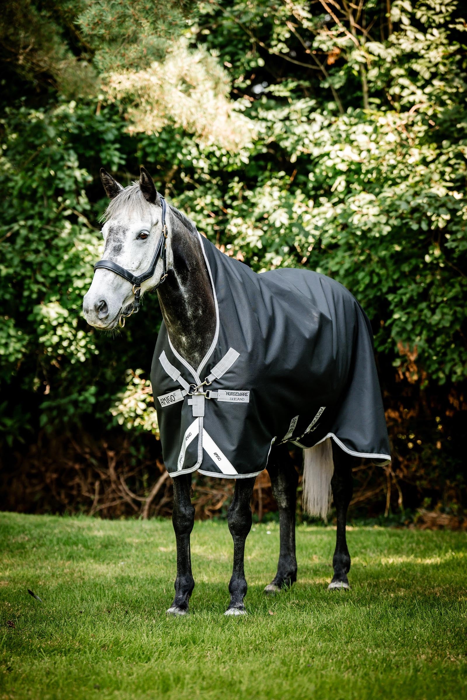 Horseware Amigo 1200D Wug Turnout 150 g Horse Rugs