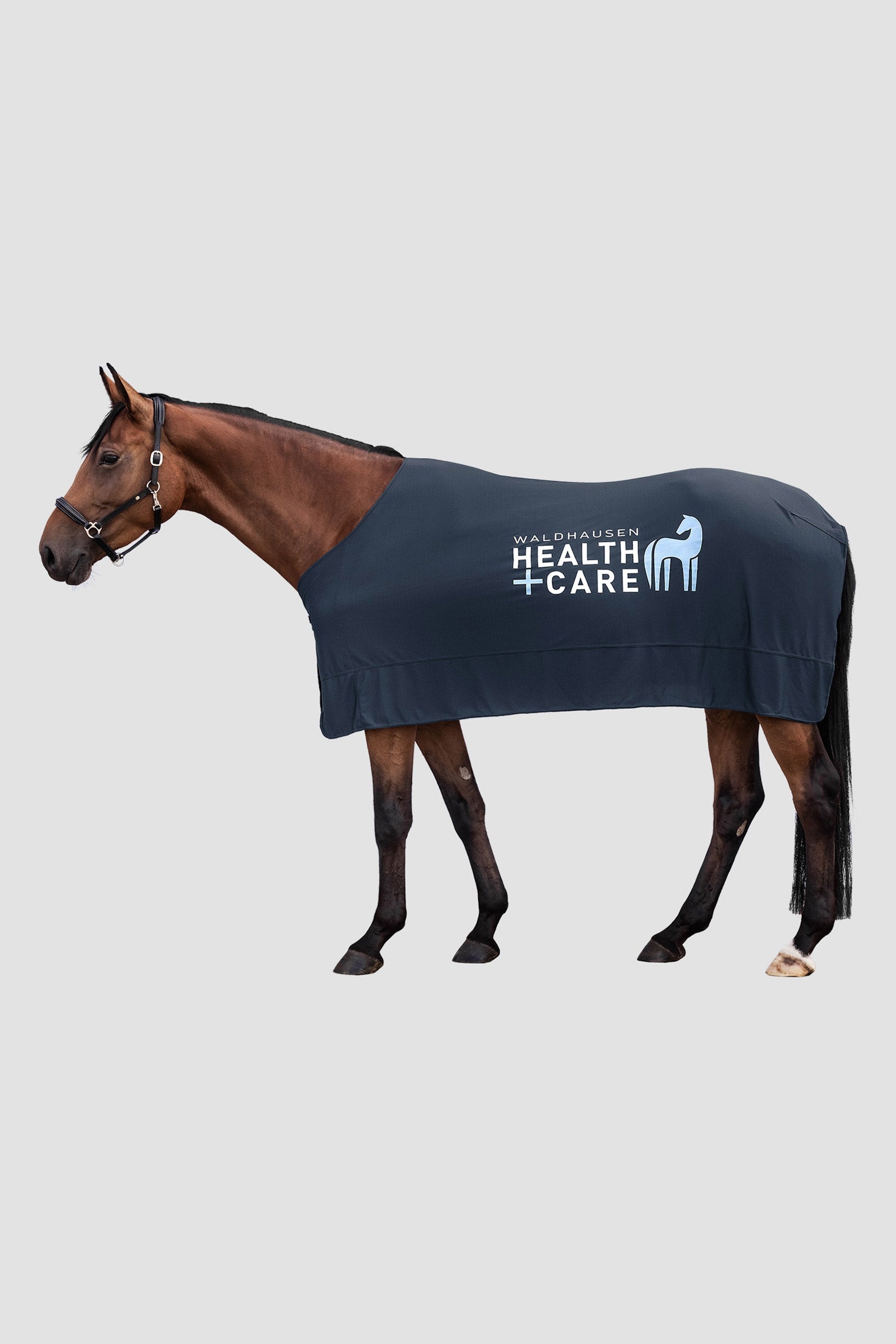 Waldhausen W-Health & Care Ice Layer Jäähdytyspeite Loimet