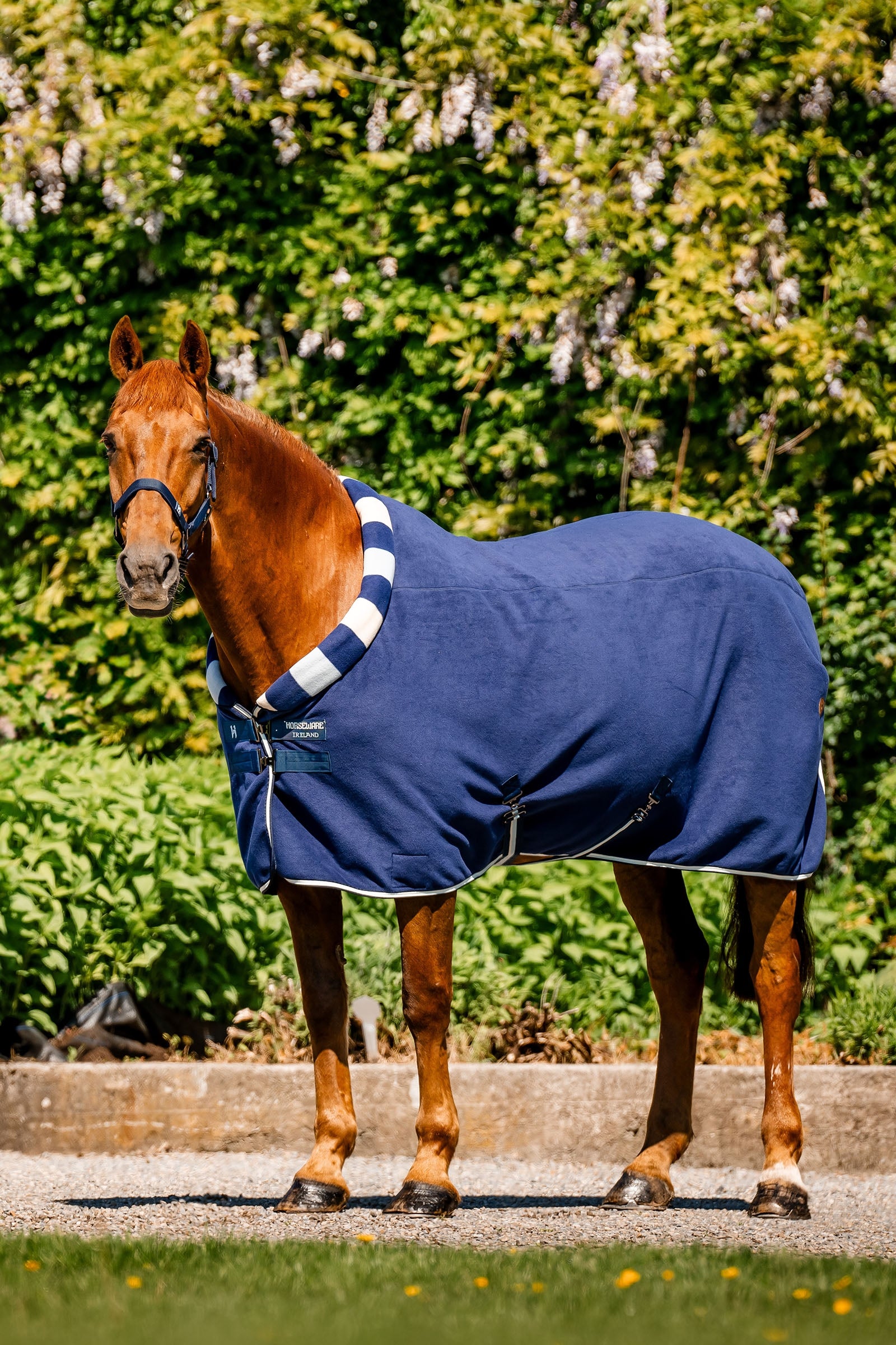 Horseware Newmarket Cosy Fleece Kuivatusloimet Loimet