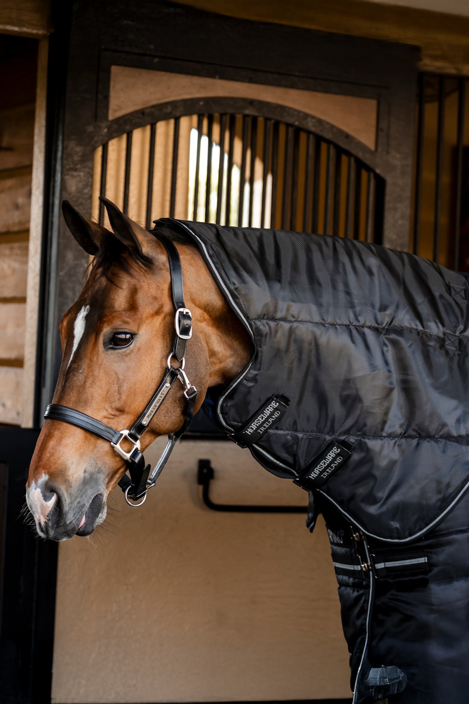 Horseware Amigo Ripstop Insulator Plus talliloimi, 350 g Loimet