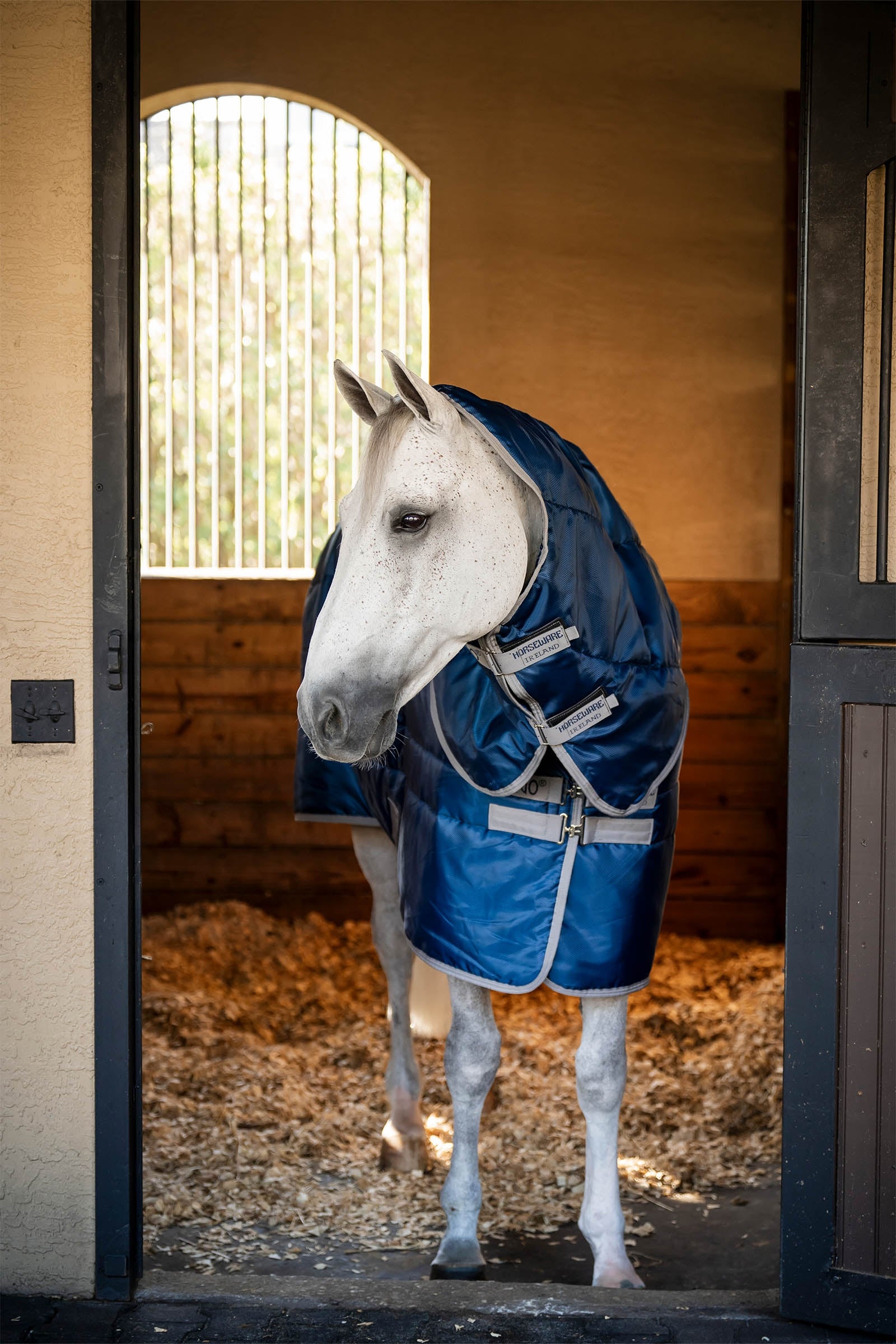 Horseware Amigo Ripstop Insulator Plus Stable Rug, 350 g Horse Rugs