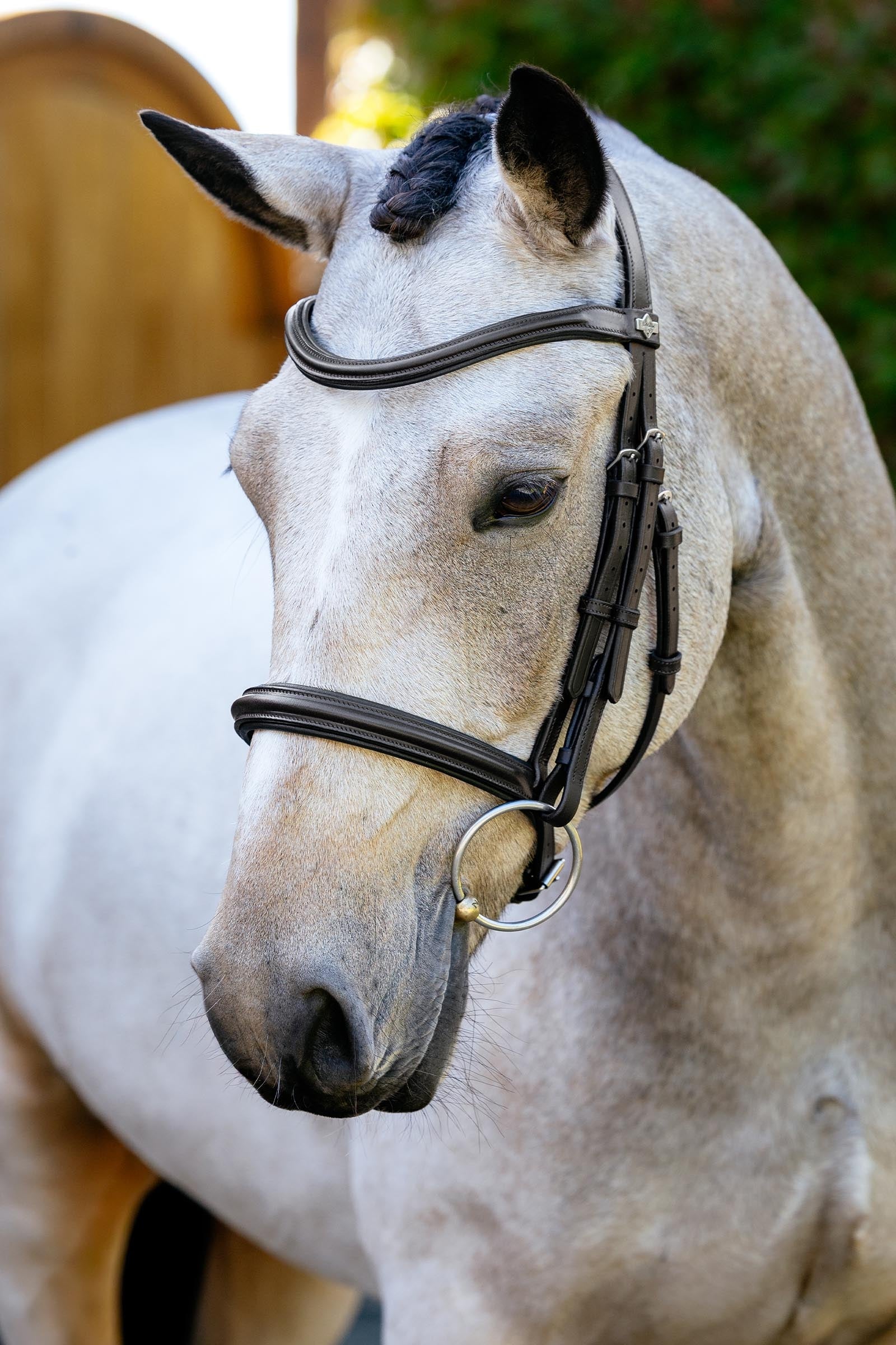 LeMieux Arika Cavesson Bridle Horse Training