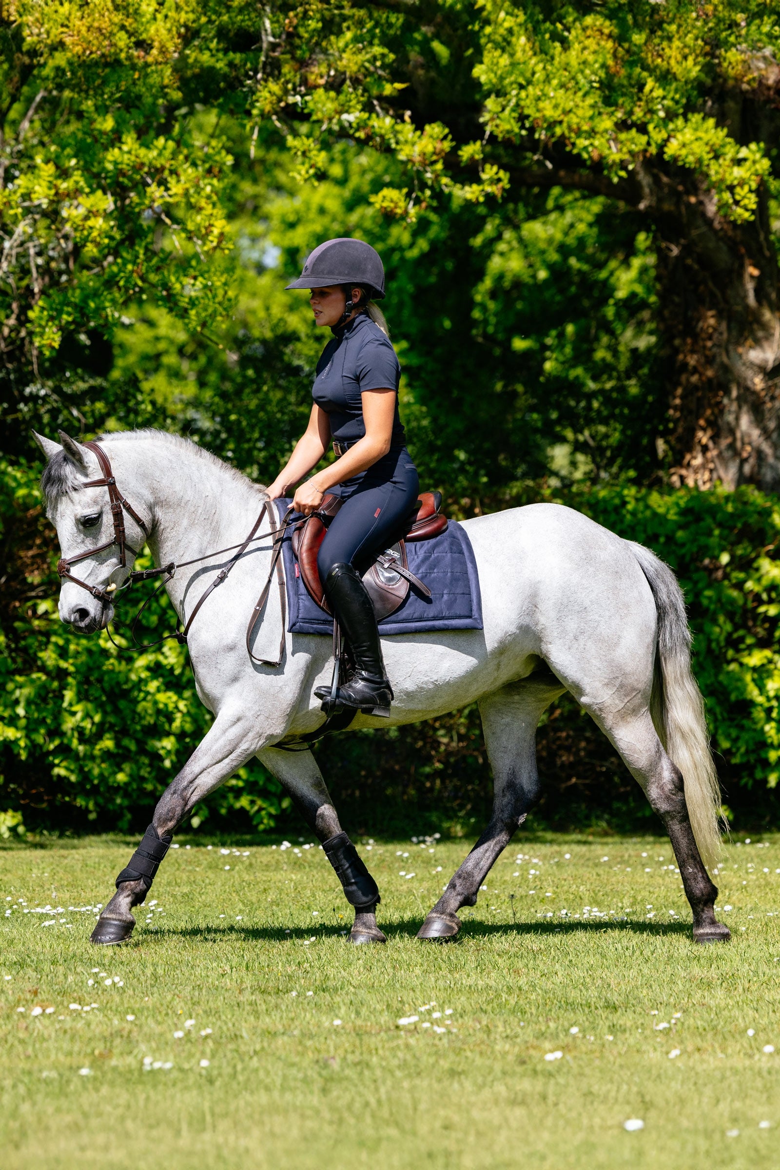 LeMieux Pillow Cushioned All Purpose Saddle Pad Saddle Pads
